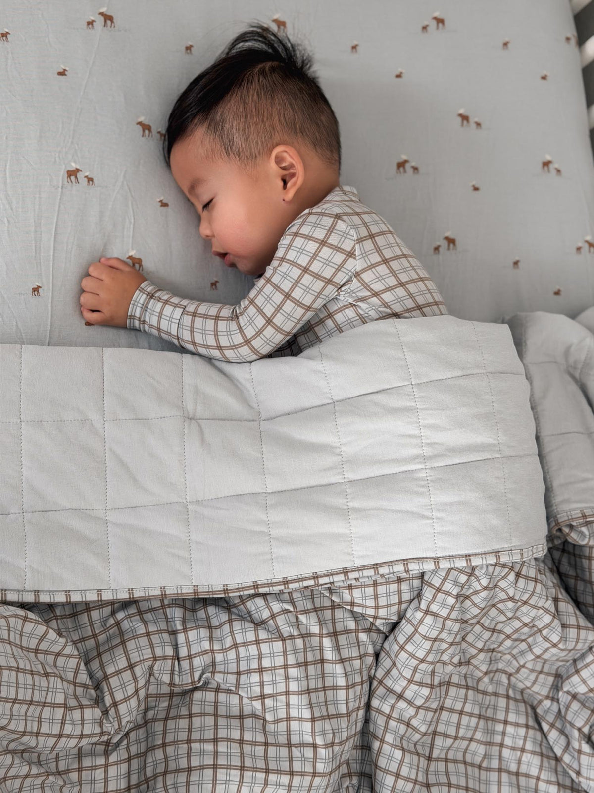 Cloud Blanket - Plaid / 1.0 TOG