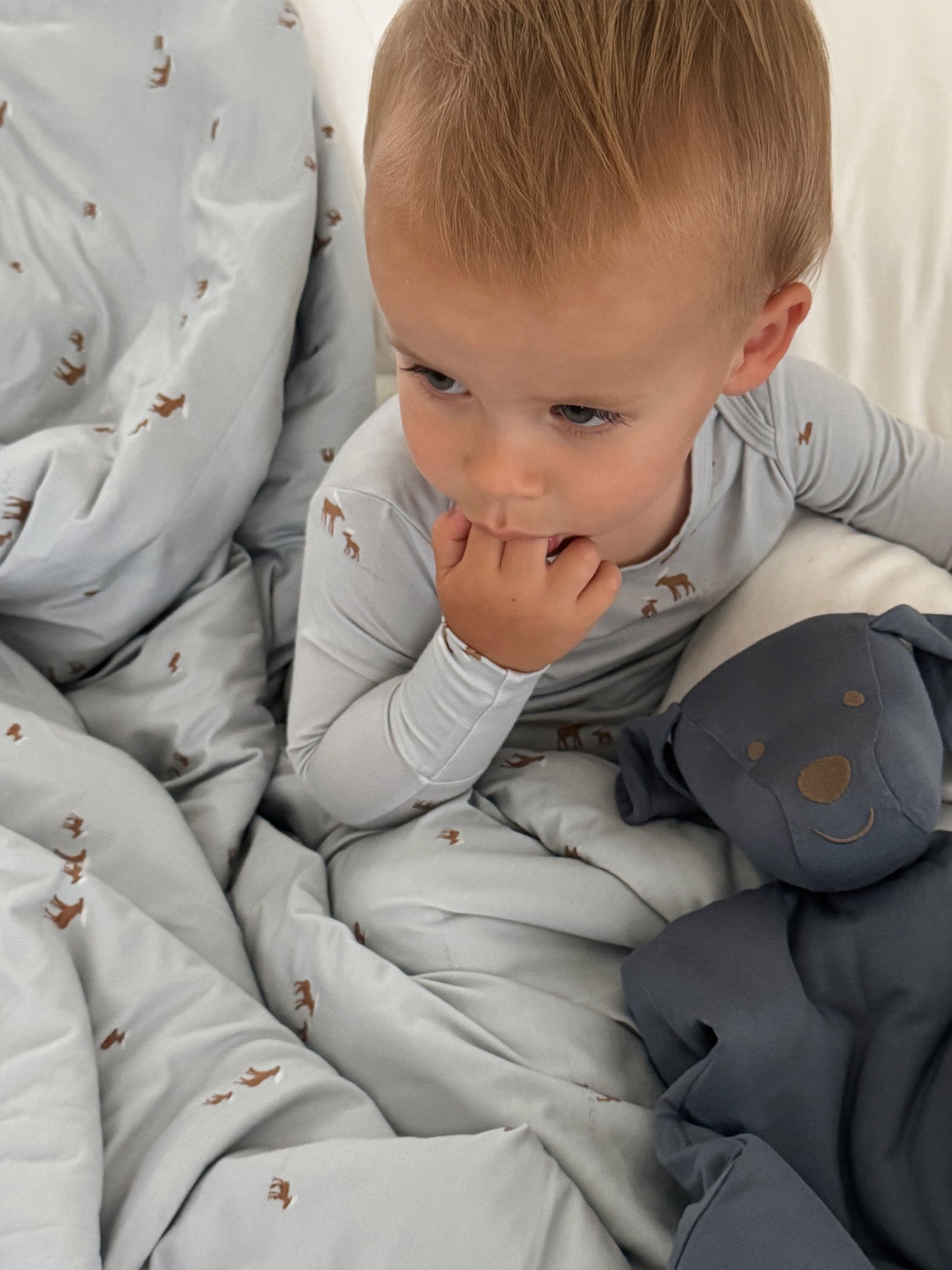 Cloud Blanket - Moose / 2.5 TOG