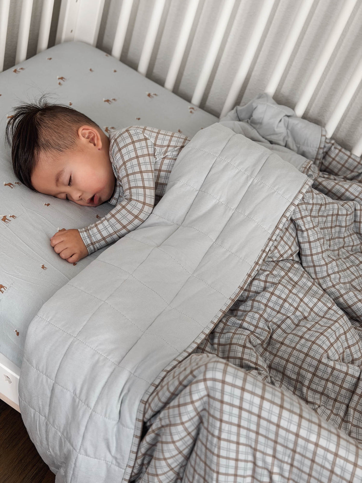 Cloud Blanket - Plaid / 2.5 TOG