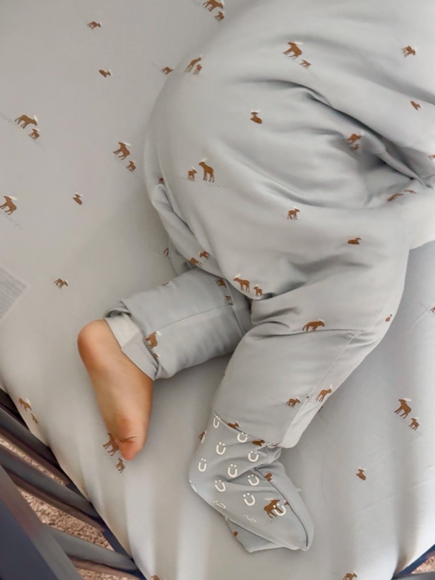 Long Sleeve Footie Sleep Sack - Moose / 2.5 TOG