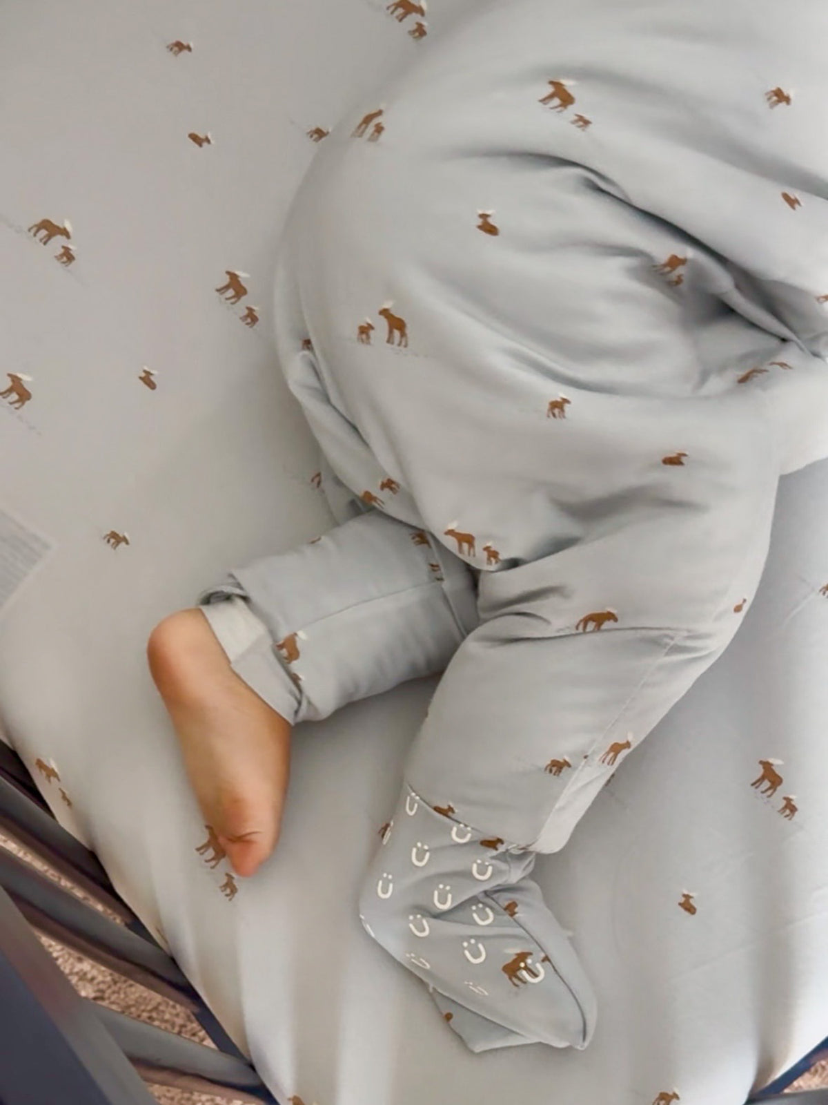 Long Sleeve Footie Sleep Sack - Moose / 1.0 TOG