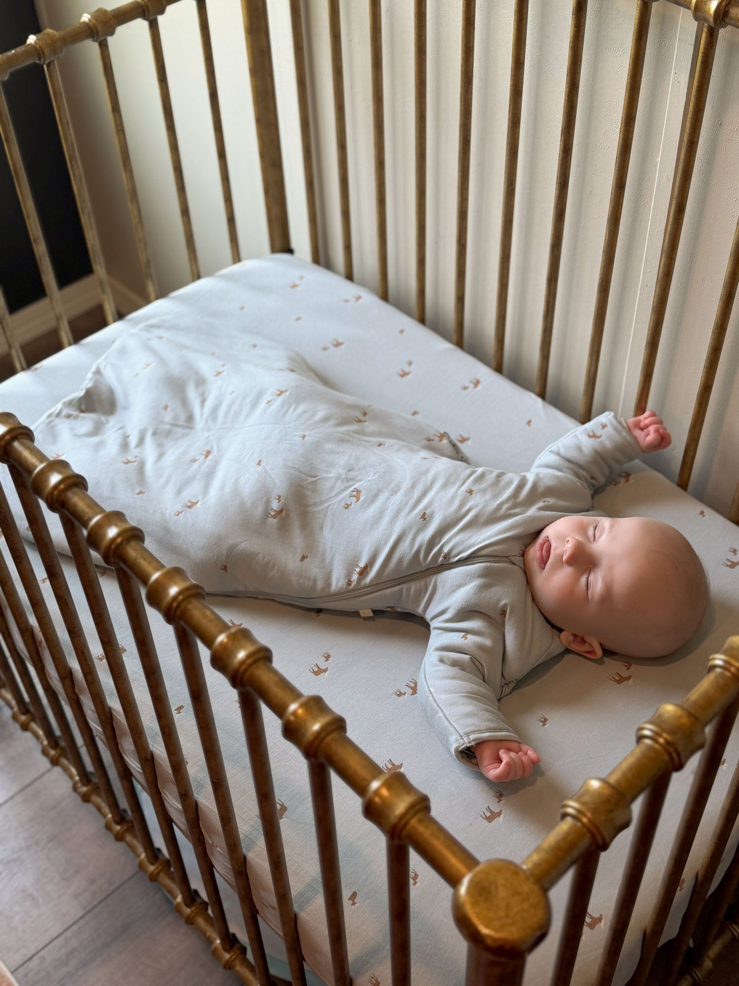 Long Sleeve Transitional Swaddle Sack - Moose / 2.5 TOG