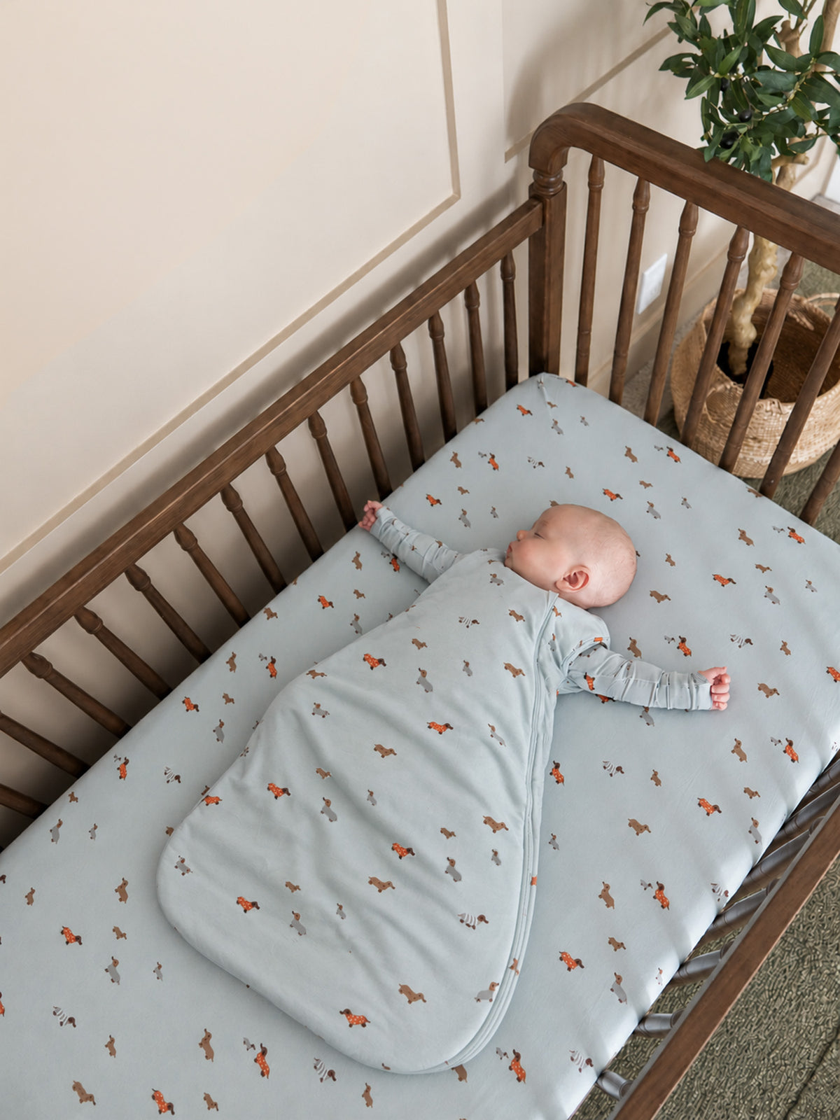Light blue crib sheet with orange dog pattern, baby resting in crib
