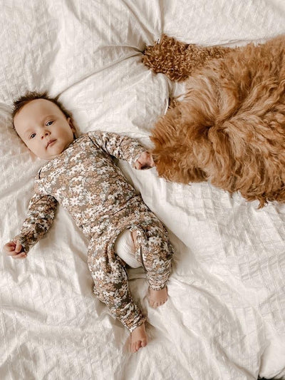 How to Introduce a Dog to a New Baby