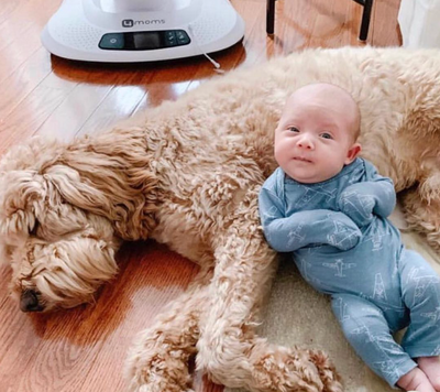 Introducing Baby to Your Dog