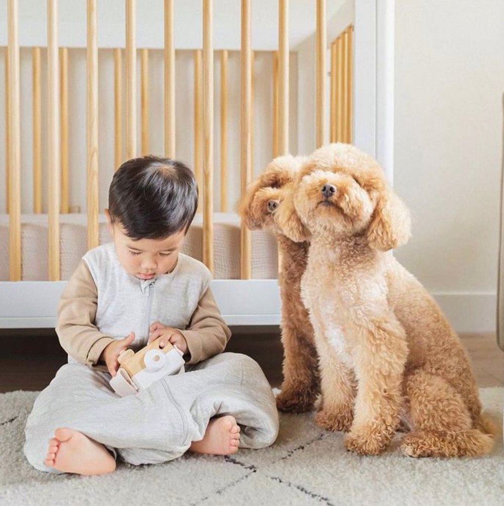 Are Sleep Sacks Safe for Crawling Babies gunamuna