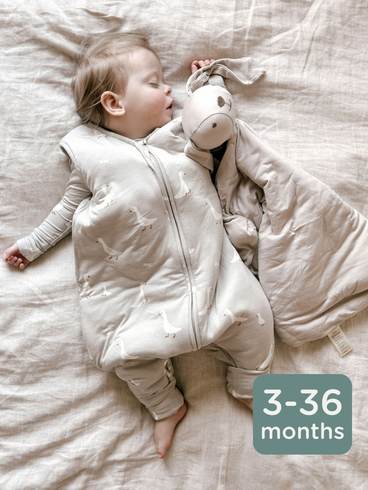 0.5 Footie SS | Swatch