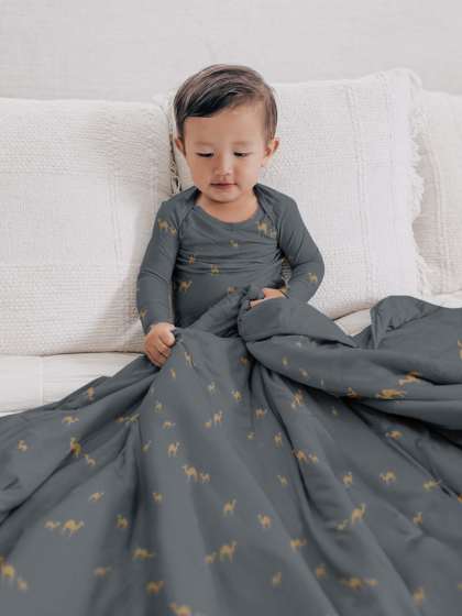 fall/winter twin cloud blankets