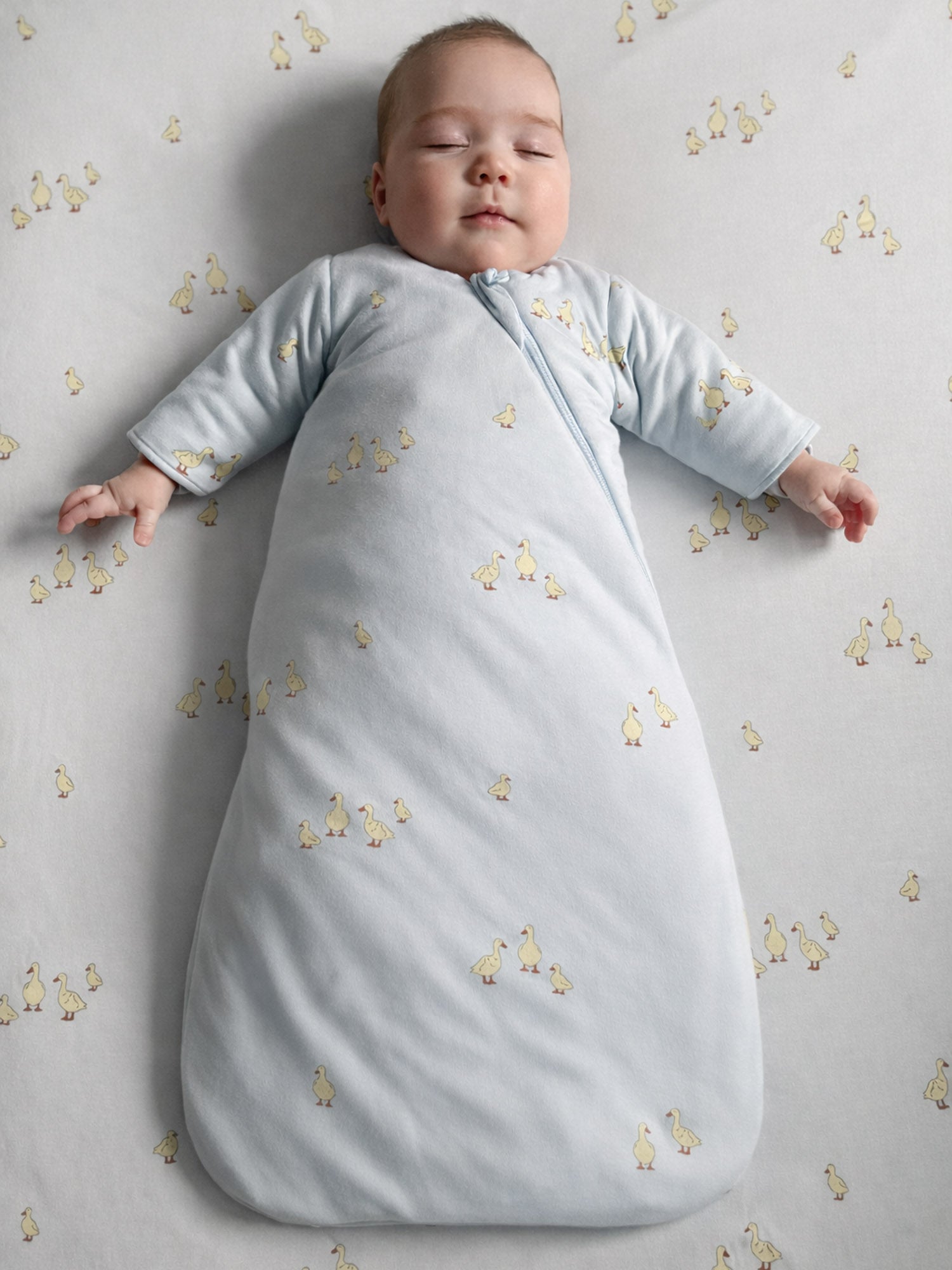 Long Sleeve Swaddle Sleep Sack - Friends / 1.0 TOG