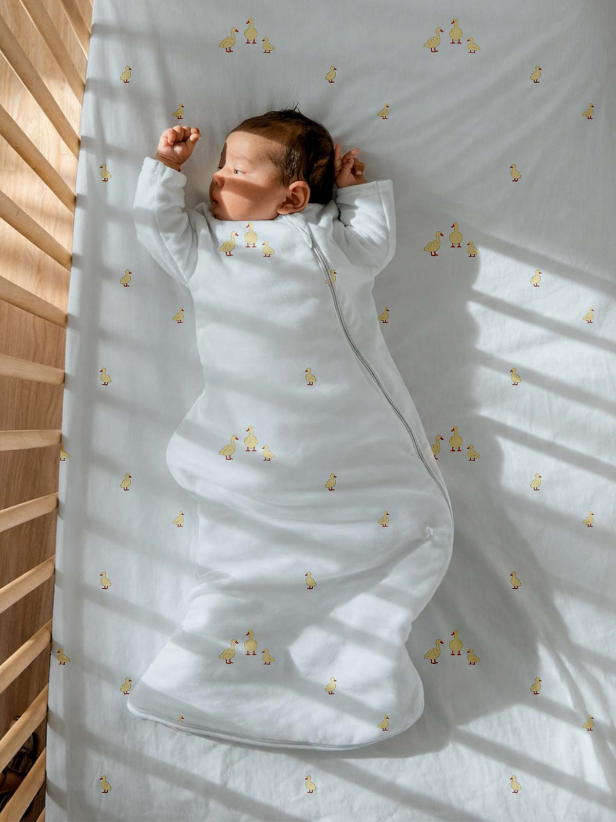 Long Sleeve Transitional Swaddle Sack - Friends / 1.0 TOG