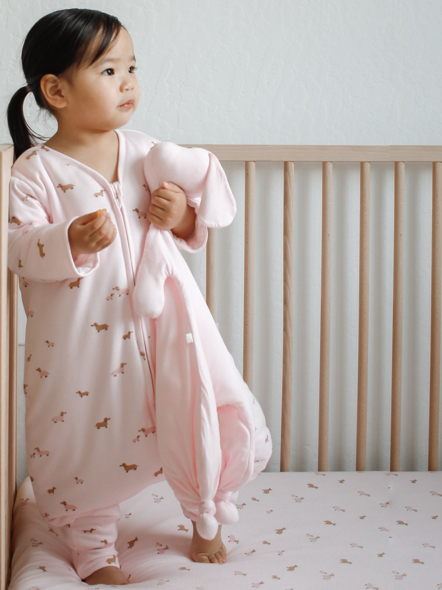 Long Sleeve Footie Sleep Sack - Girldog / 0.5 TOG