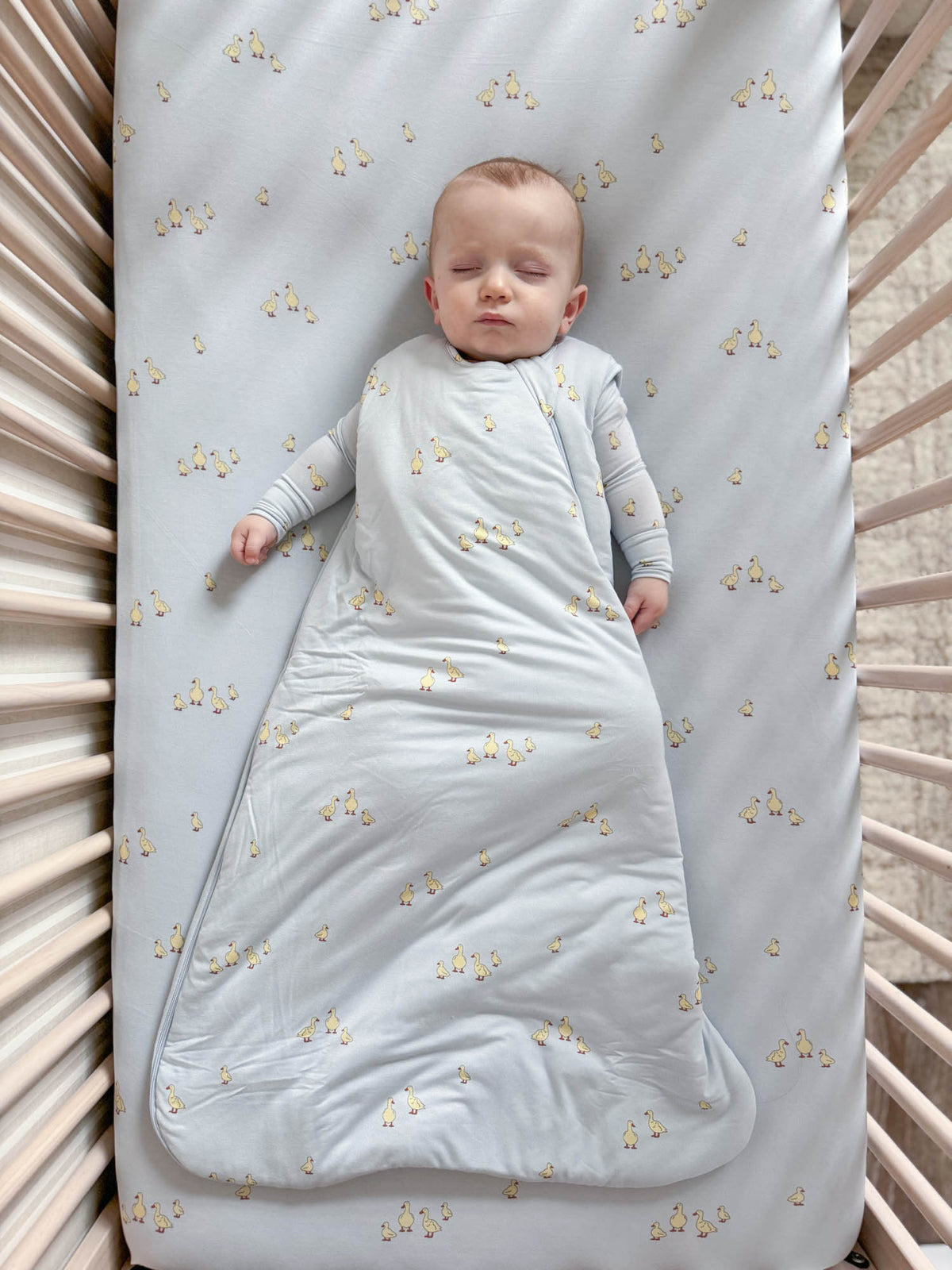 Sleep Sack - Friends / 0.5 TOG