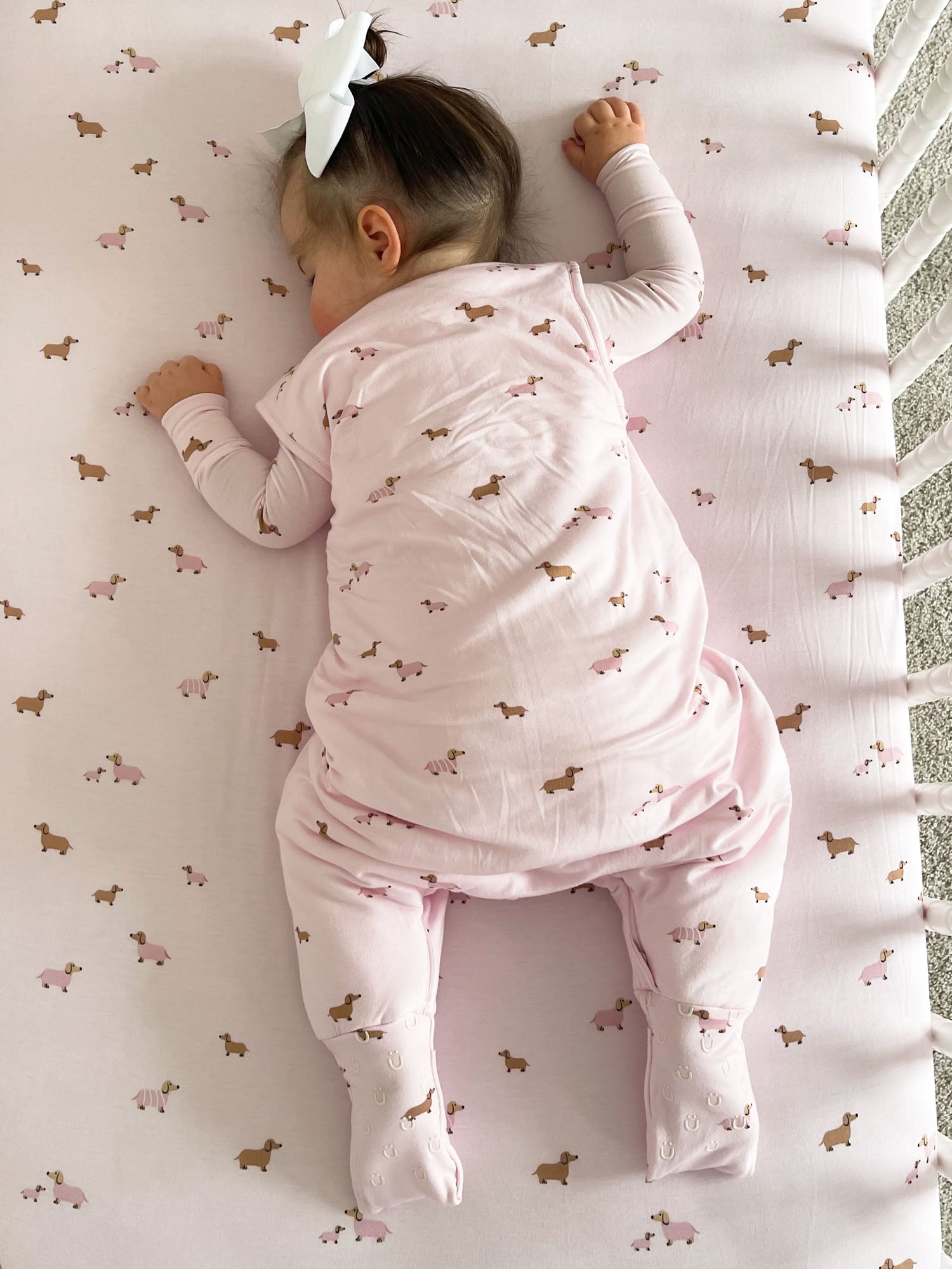 Footie Sleep Sack - Girldog / 1.0 TOG