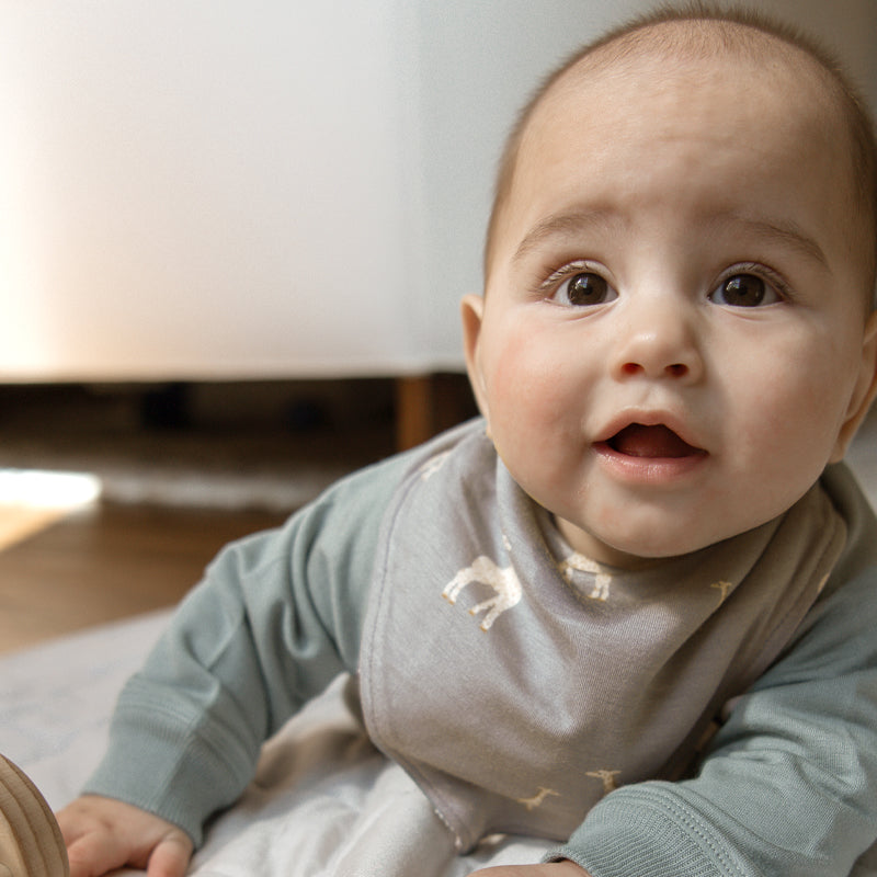 Bandana Bib - Giraffe Maple