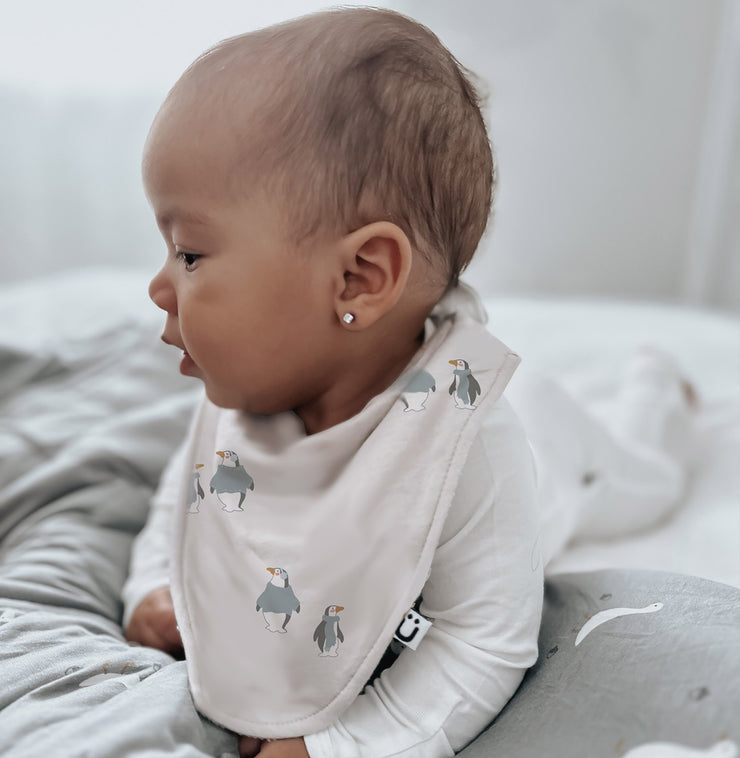 Bandana Bib