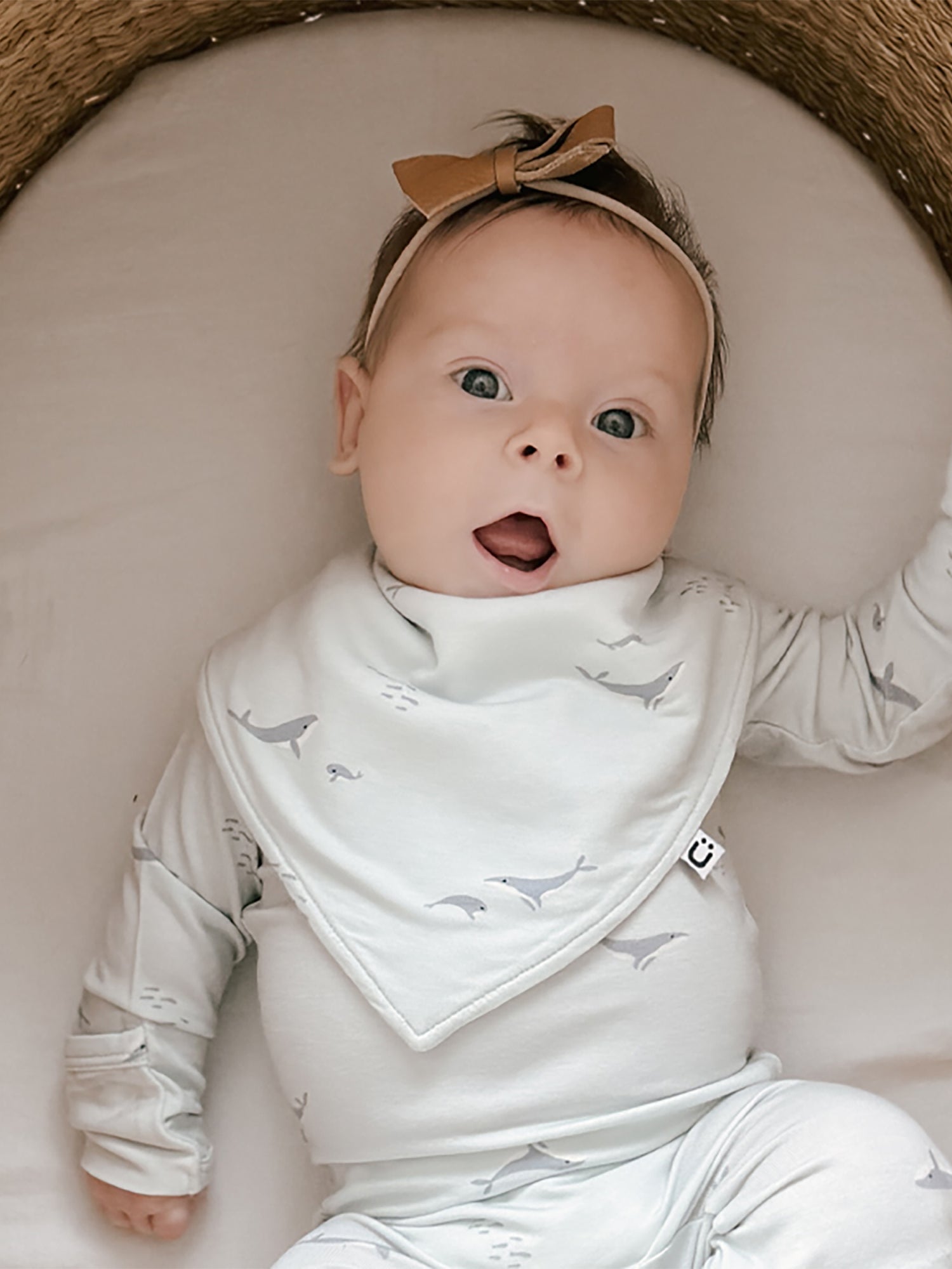 Bandana Bib - Whale