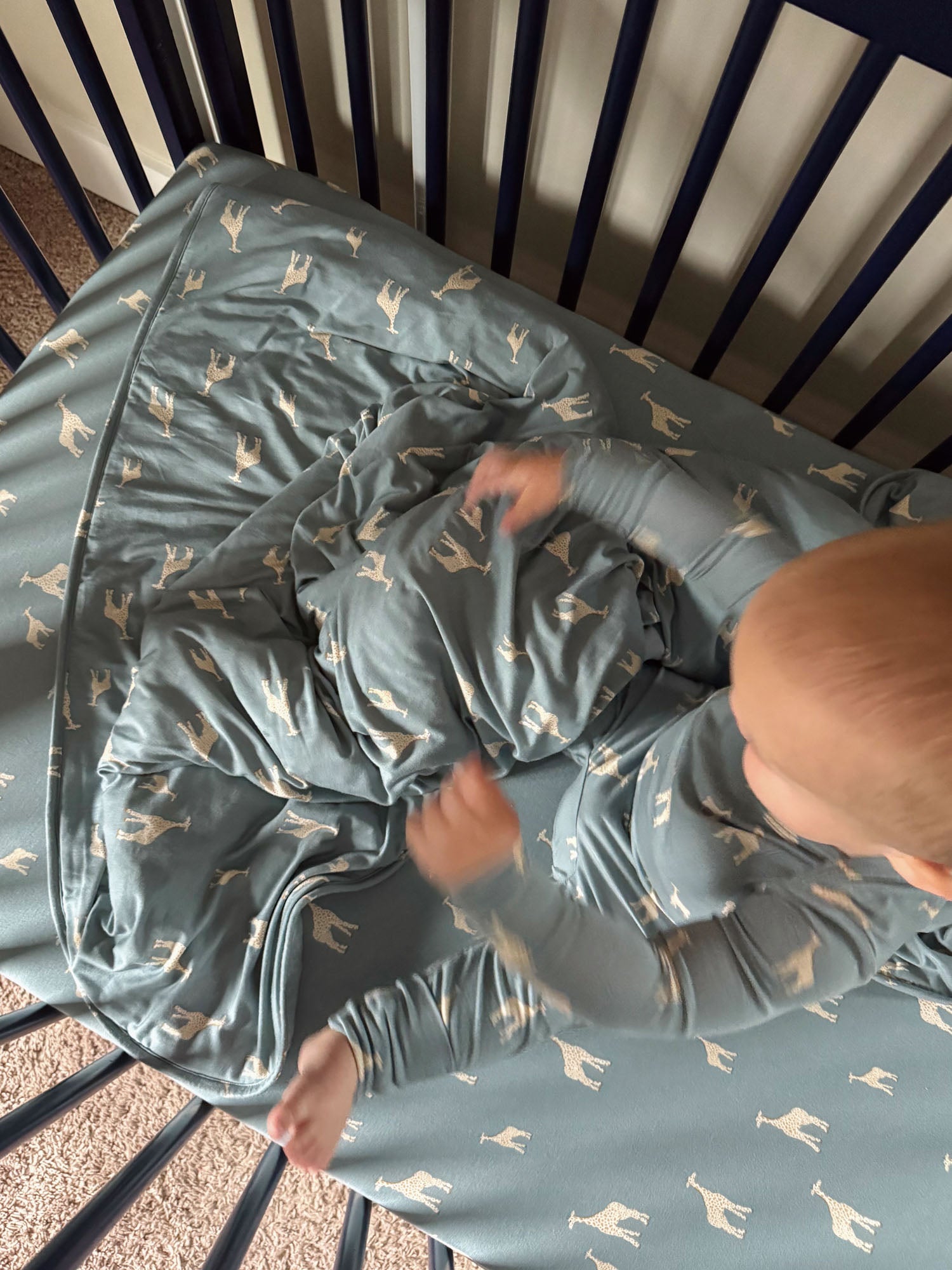 Crib Sheet - Giraffe Moss