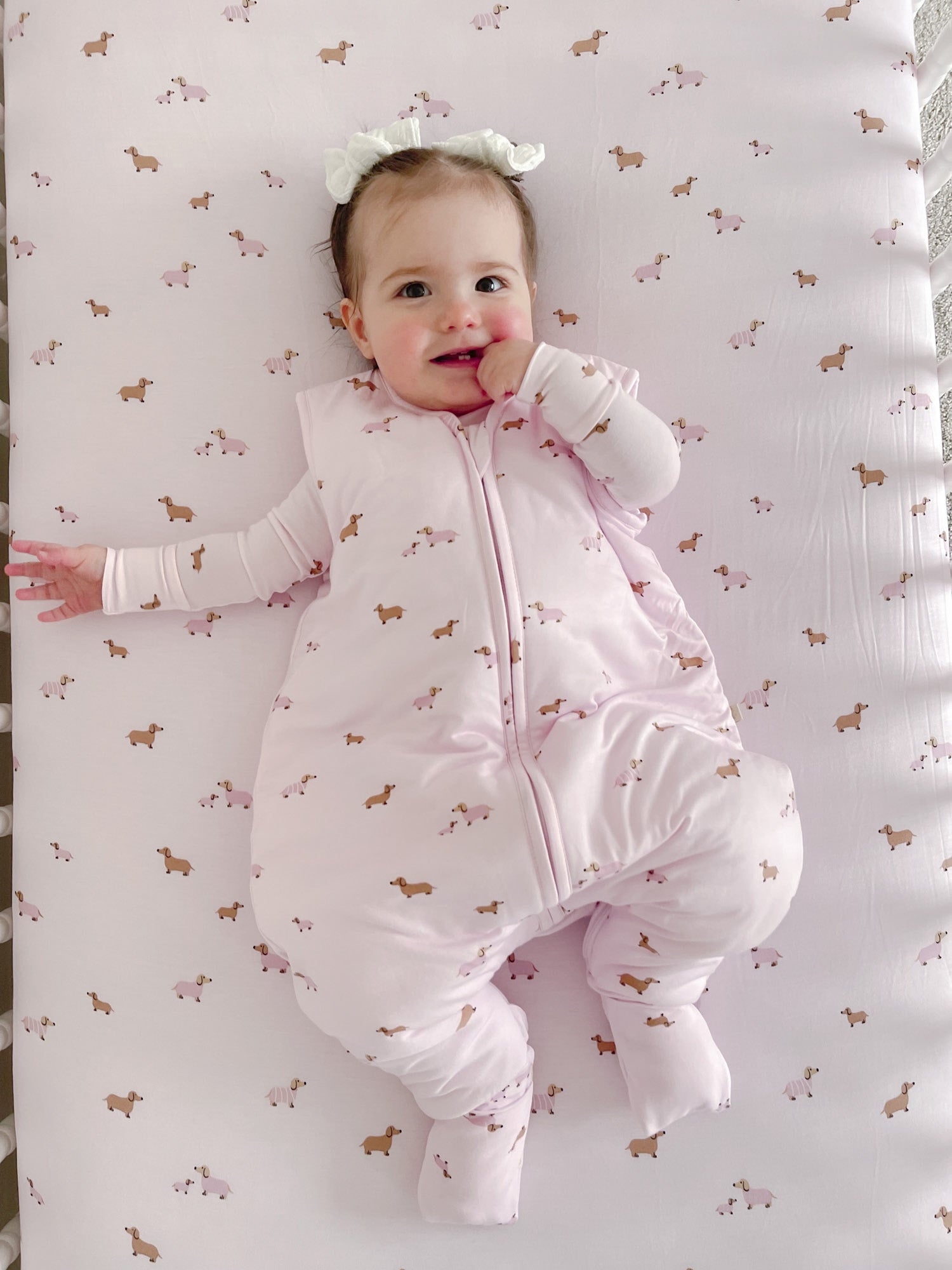 Crib Sheet - Girl Dog