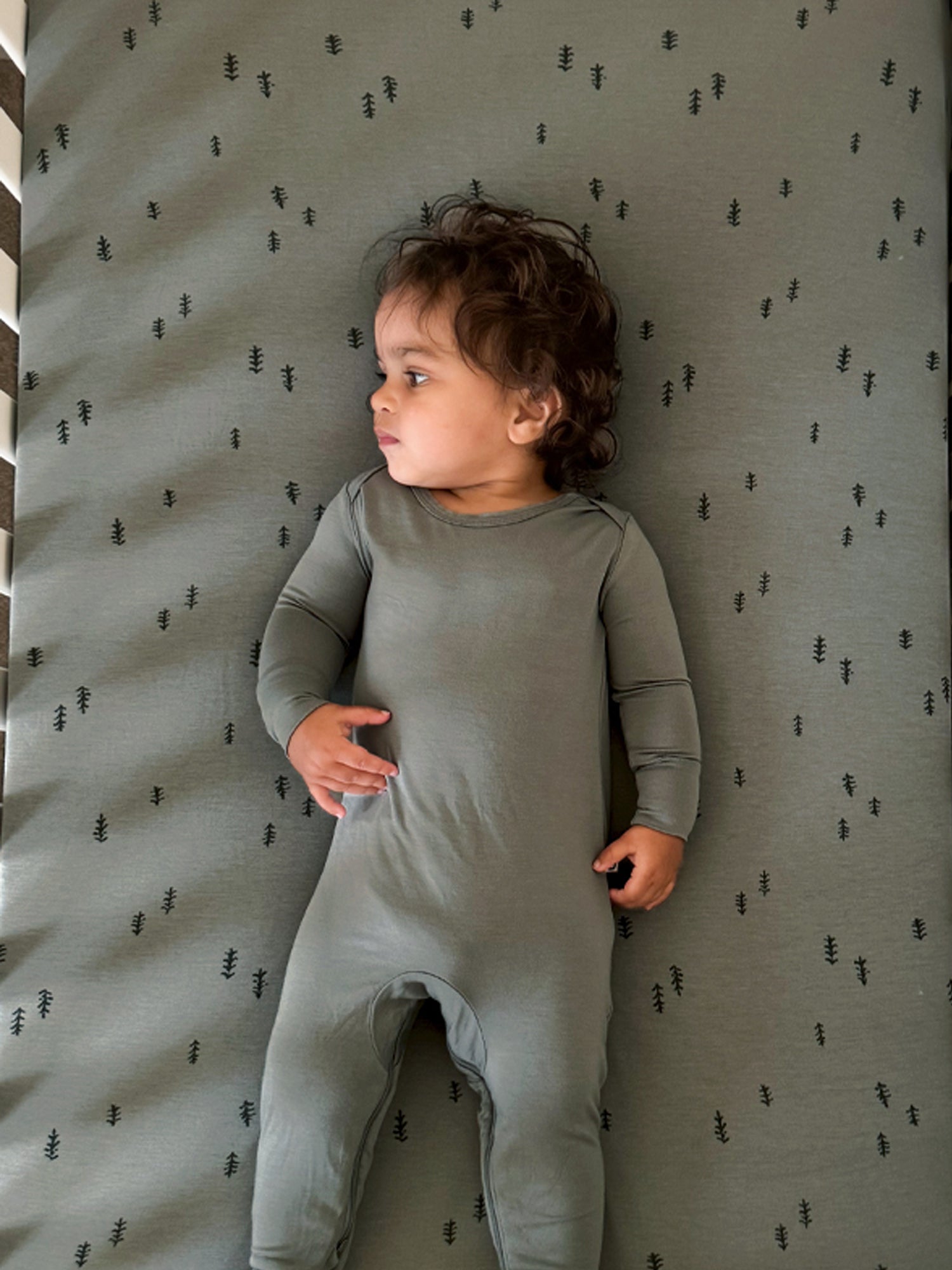 Crib Sheet - Forest