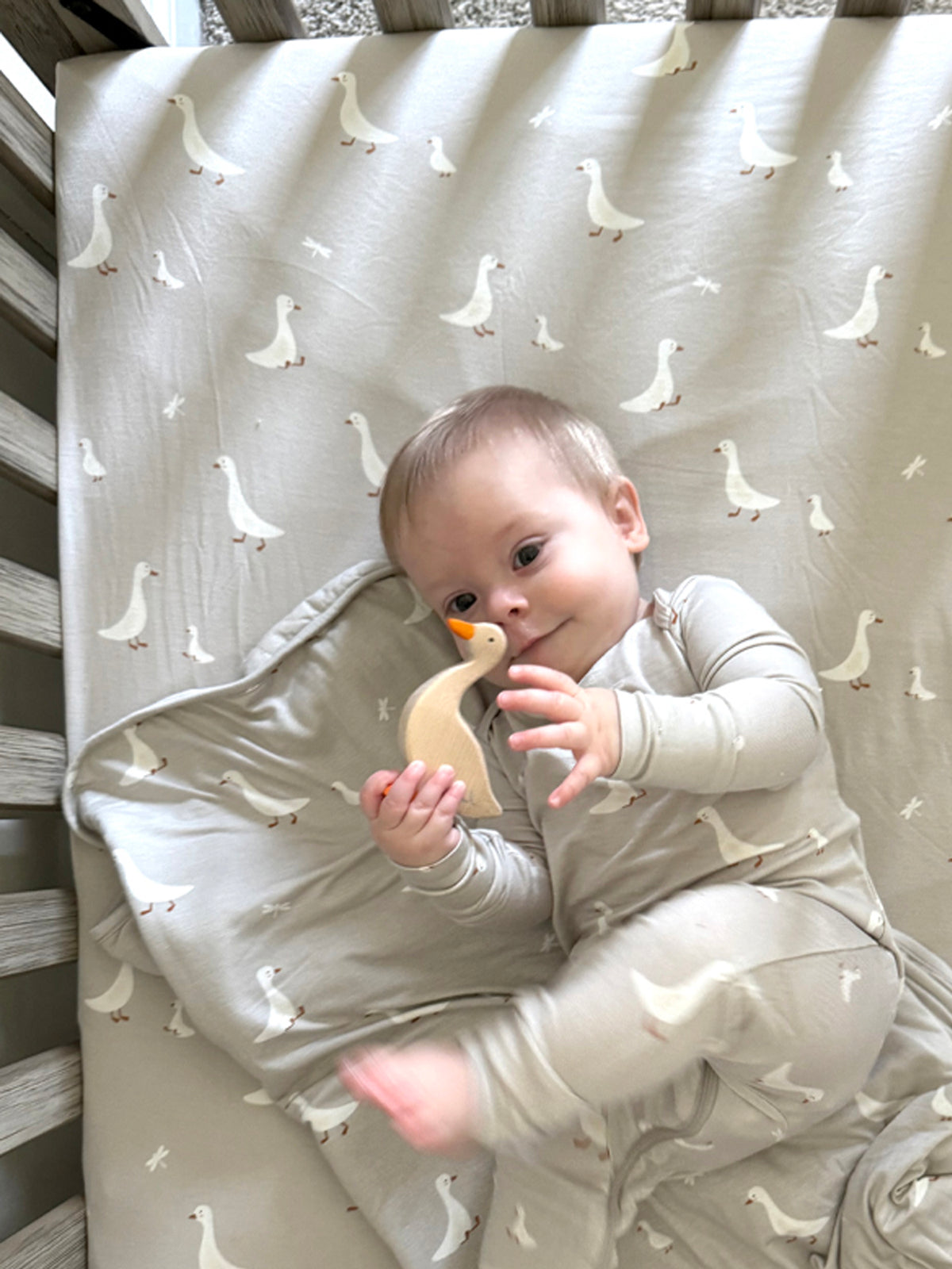 Crib Sheet - Goose