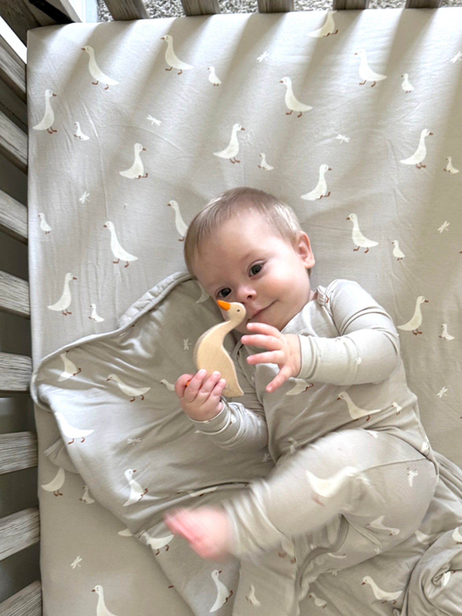 Crib Sheet - Goose