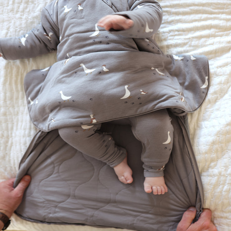 Long Sleeve Sleep Sack, Long Sleeve Sleep Bag For Baby