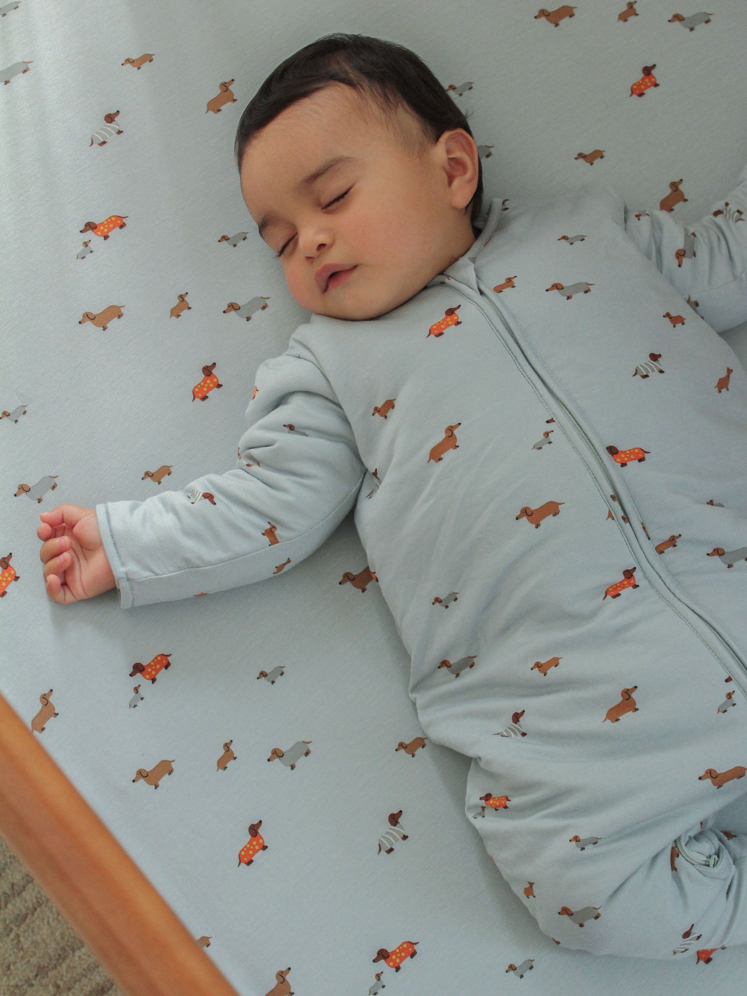 Long Sleeve Footie Sleep Sack - Woof / 0.5 TOG