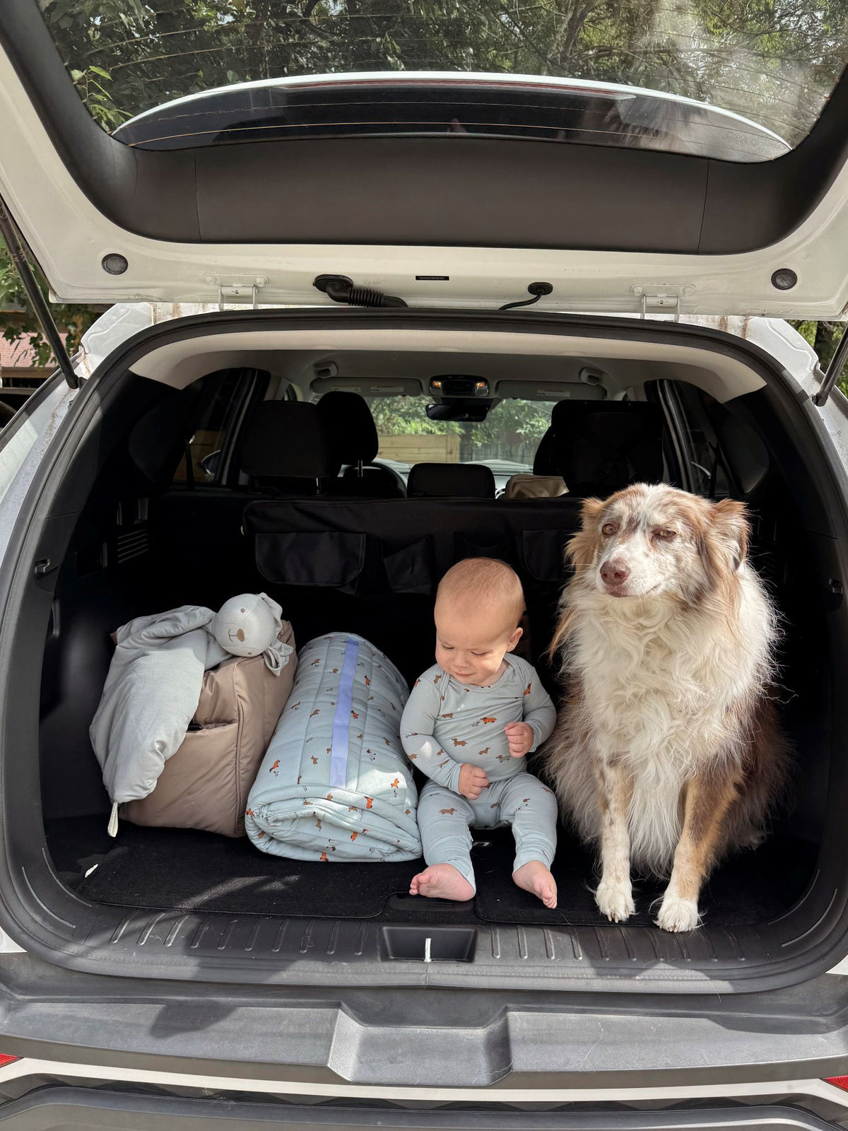 Convertible Pajama - Woof