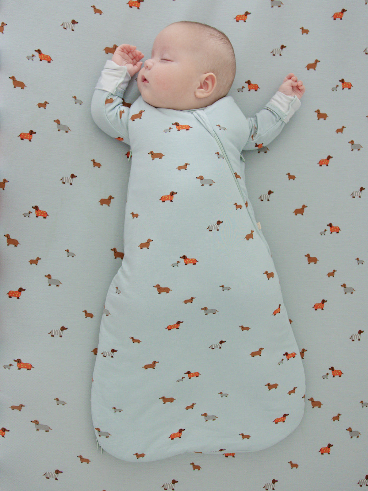 Swaddle Sleep Sack - Woof / 2.5 TOG