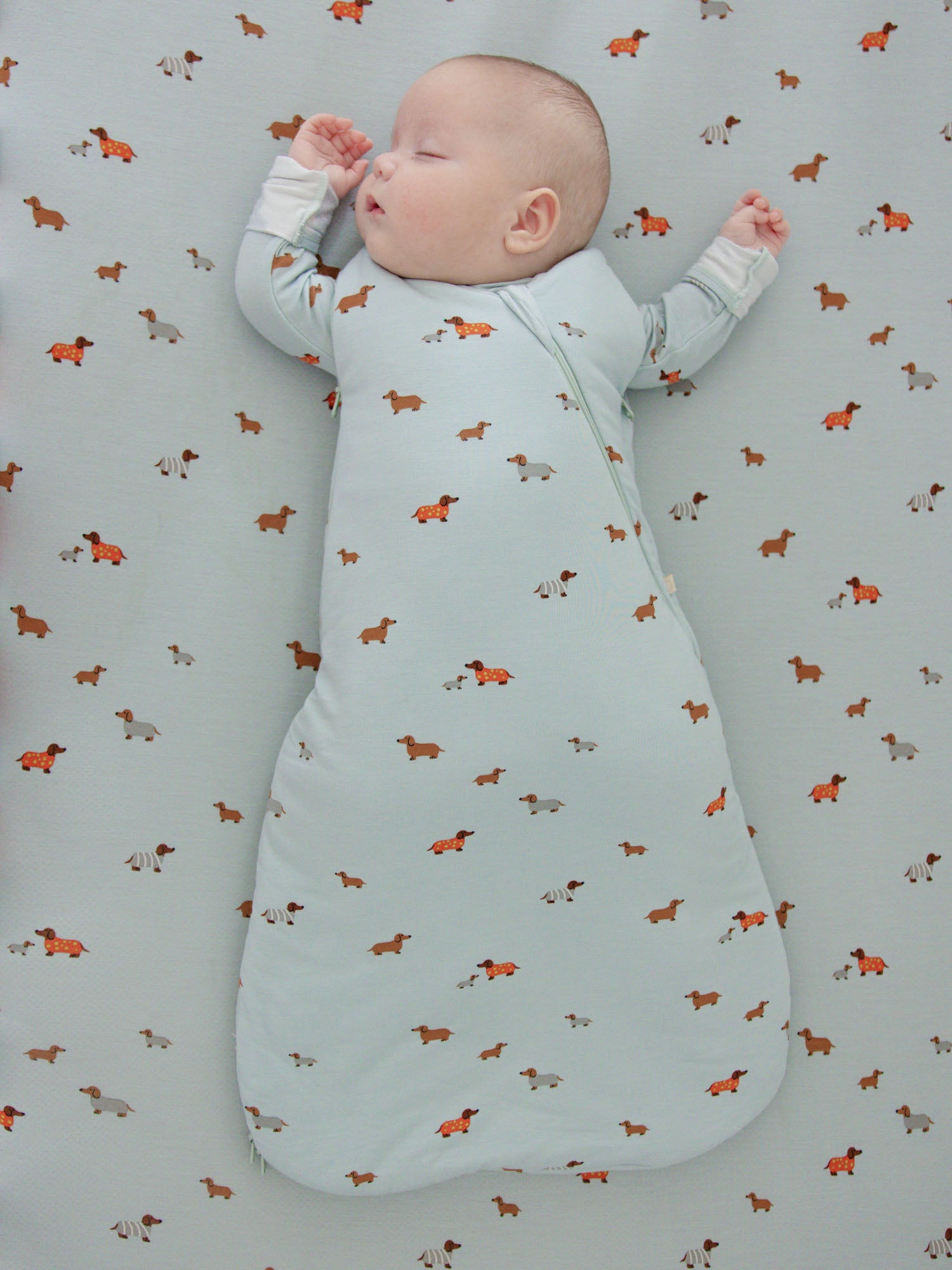 Swaddle Sleep Sack - Woof / 1.0 TOG