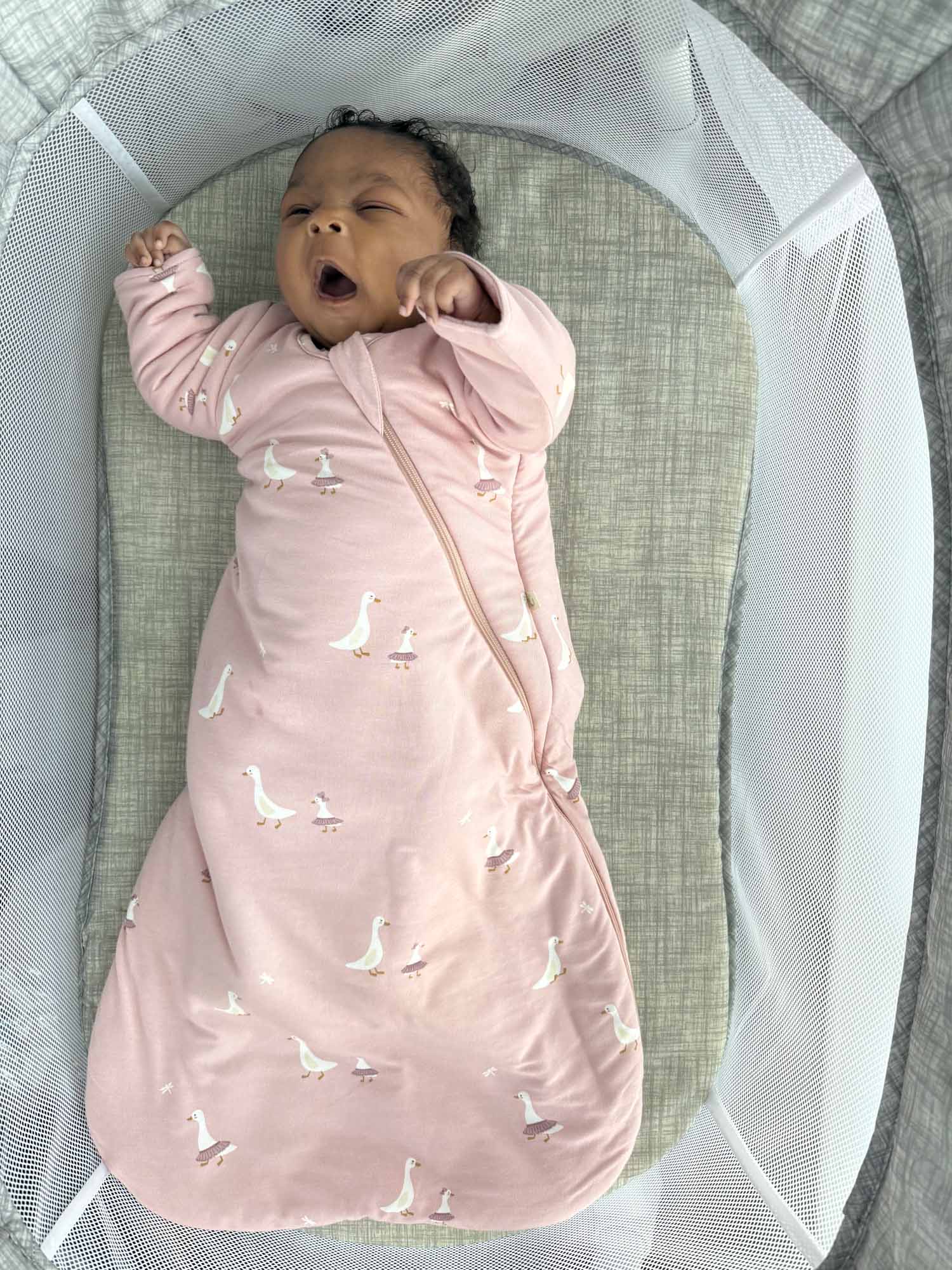 Long Sleeve Swaddle Sleep Sack - Tutu Goose / 0.5 TOG