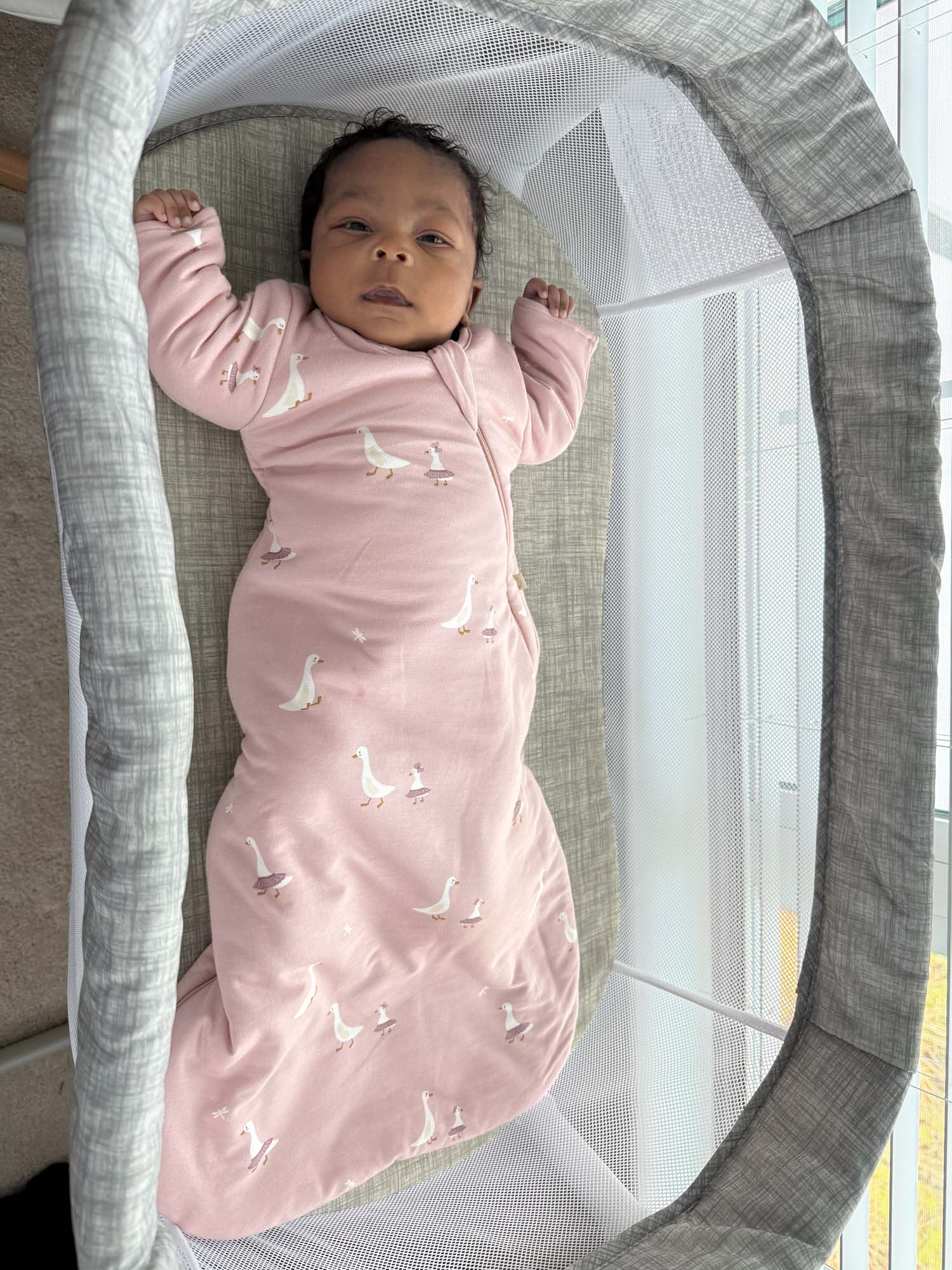 Long Sleeve Swaddle Sleep Sack - Tutu Goose / 0.5 TOG