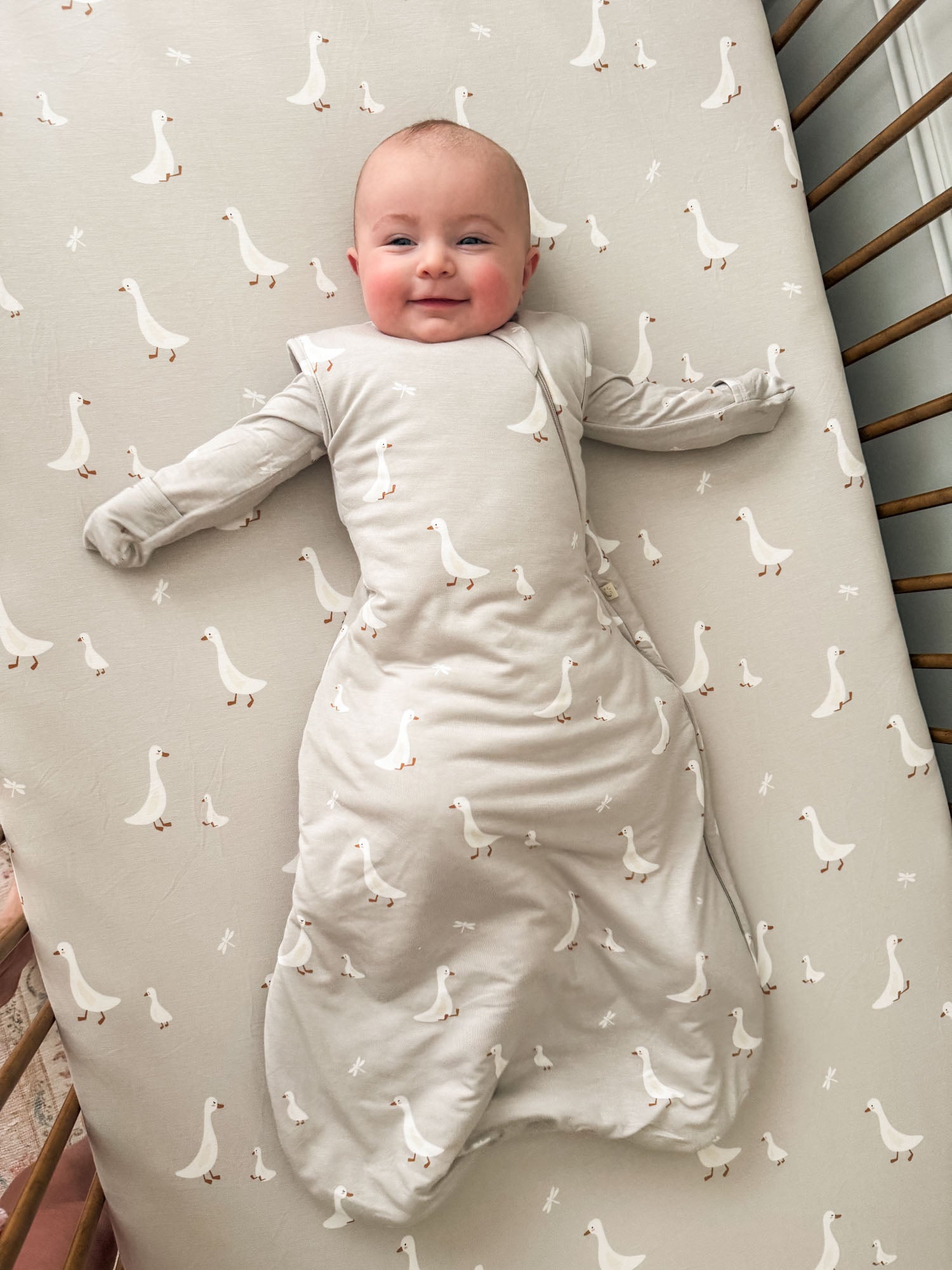 Transitional Swaddle Sleep Sack - Goose / 0.5 TOG