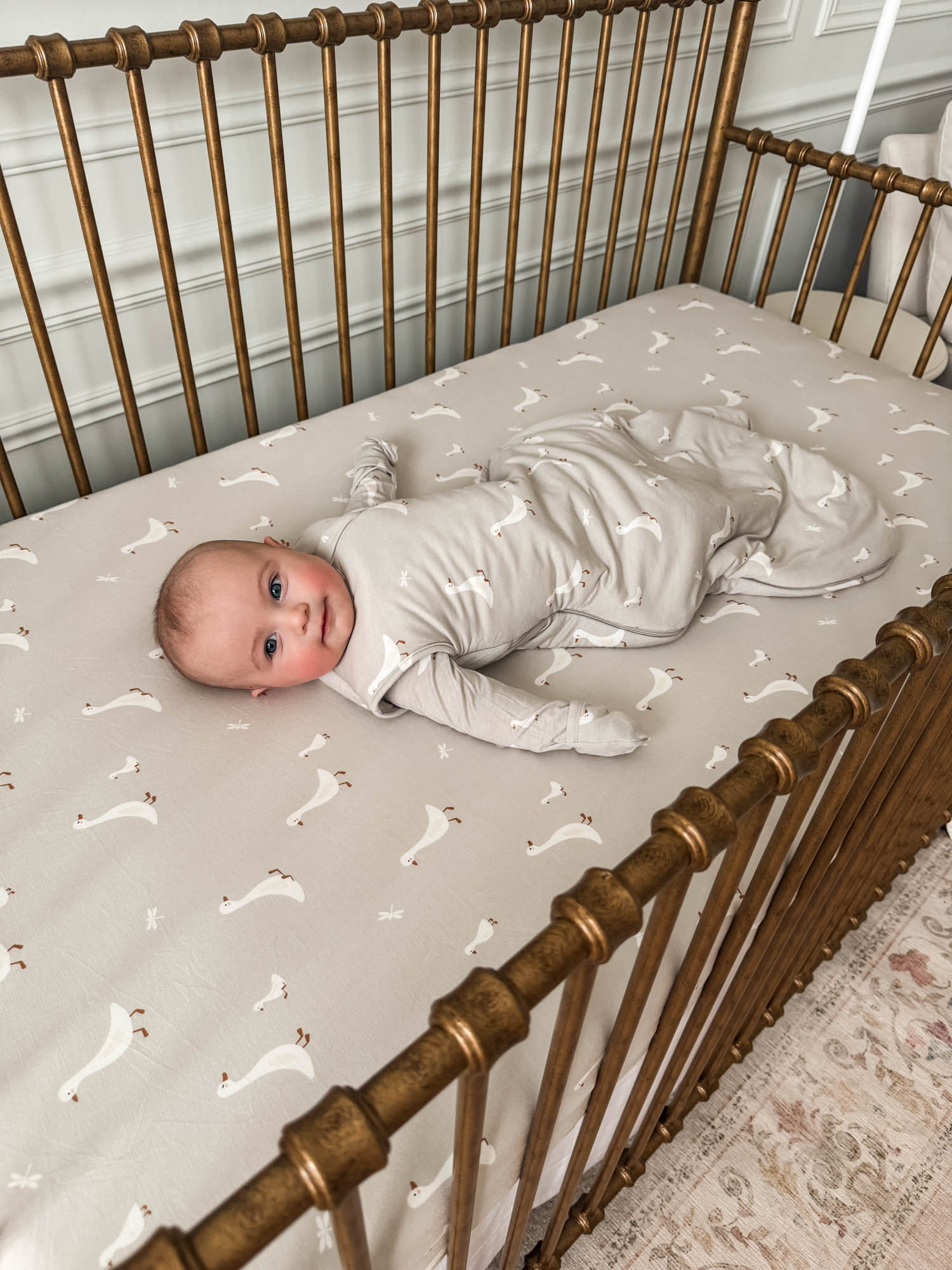Transitional Swaddle Sleep Sack - Goose / 2.5 TOG