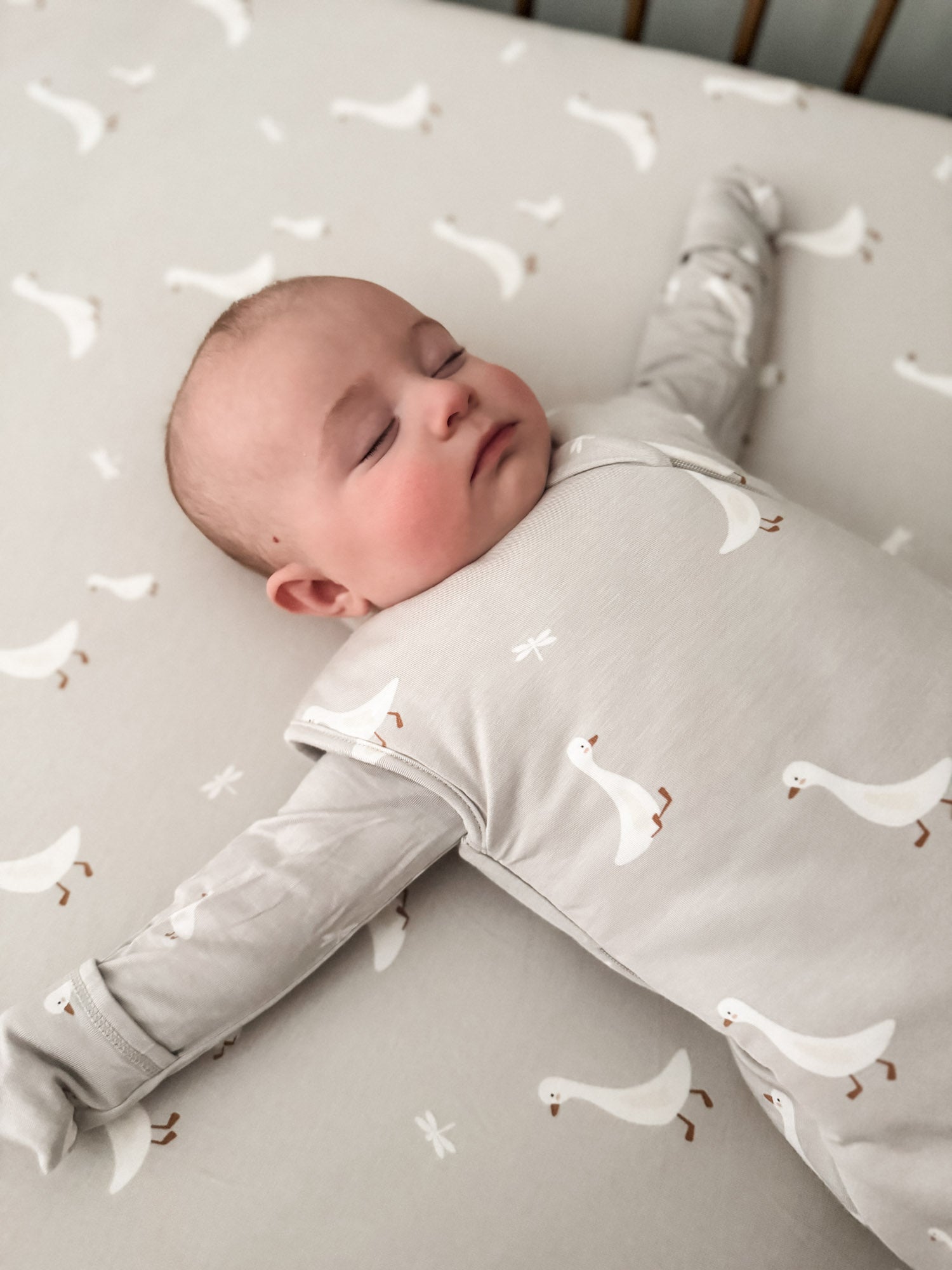 Transitional Swaddle Sleep Sack - Goose / 2.5 TOG