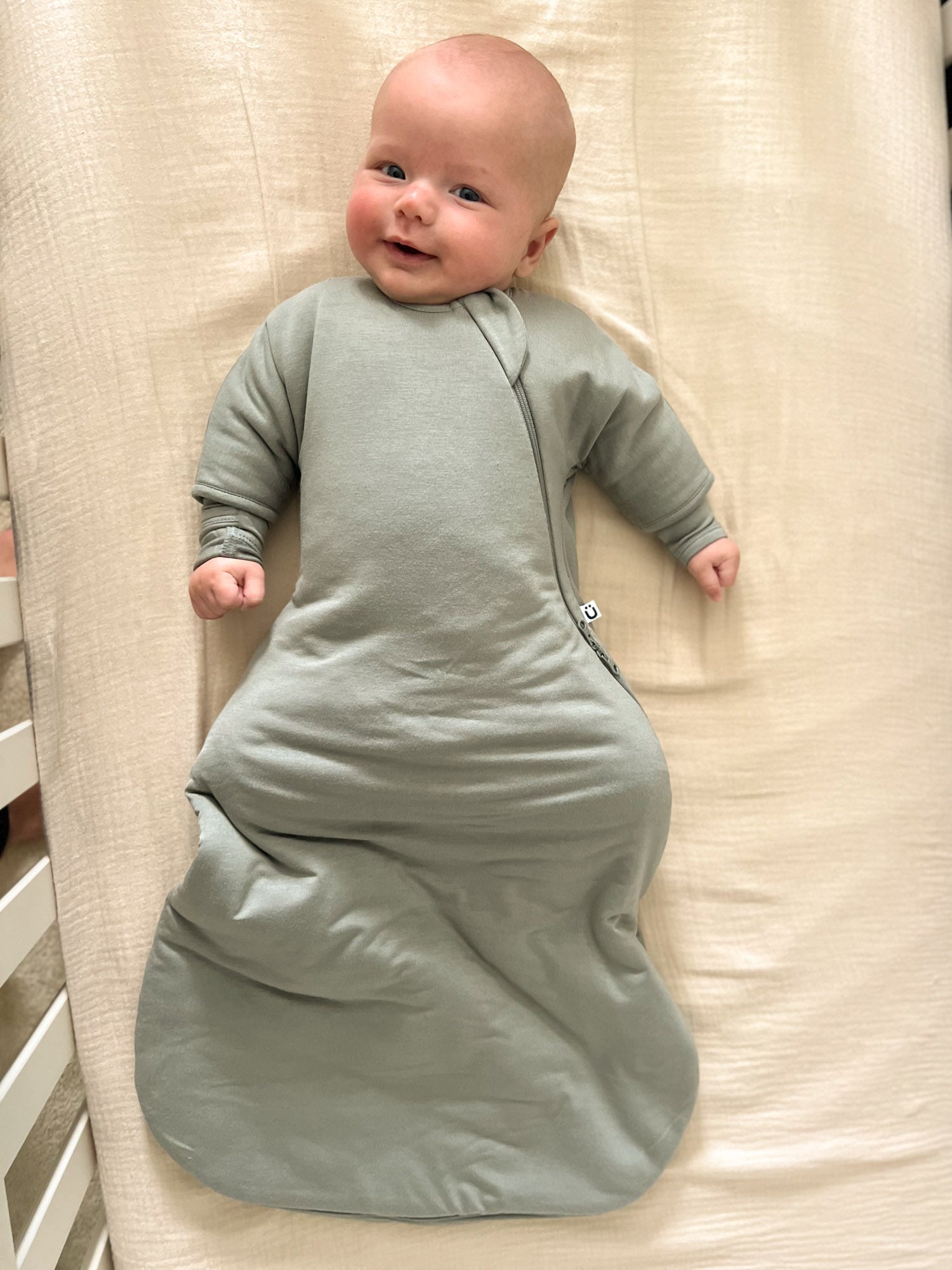 Long Sleeve Transitional Swaddle Sack - Sage / 1.0 TOG