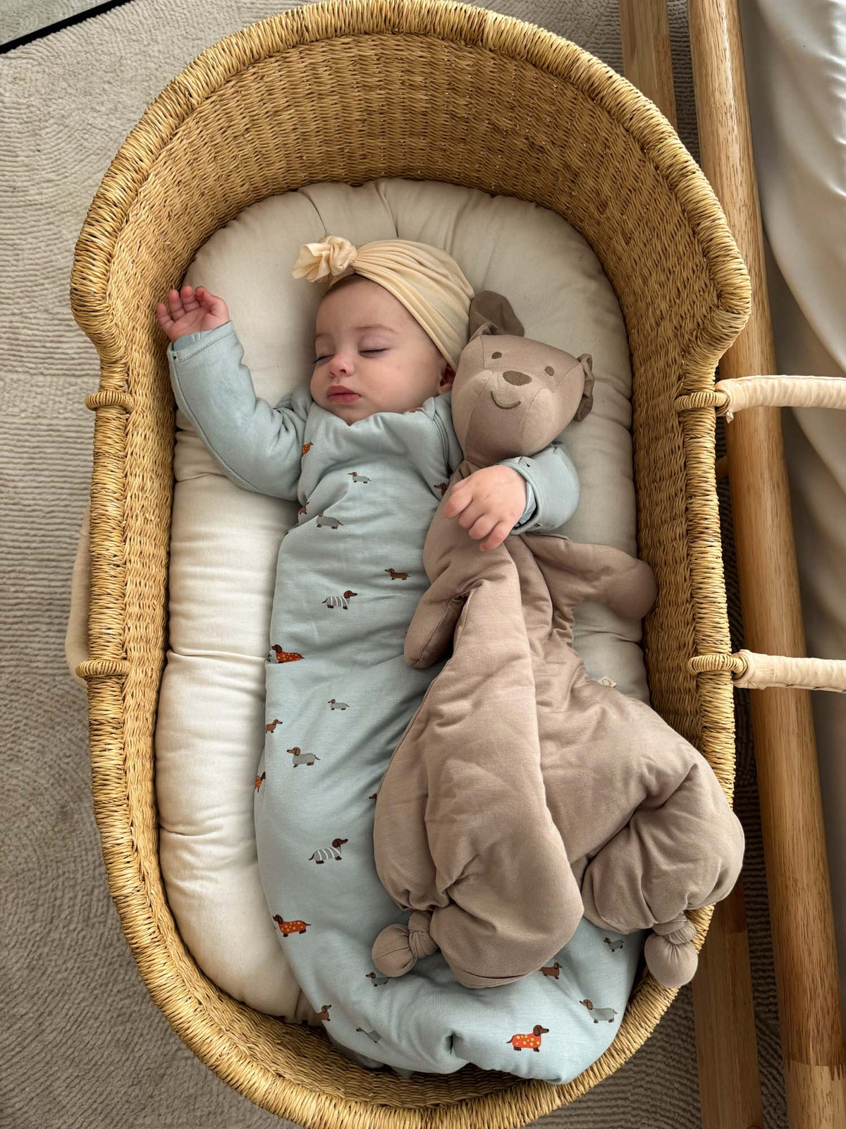 Long Sleeve Transitional Swaddle Sack - Woof / 0.5 TOG