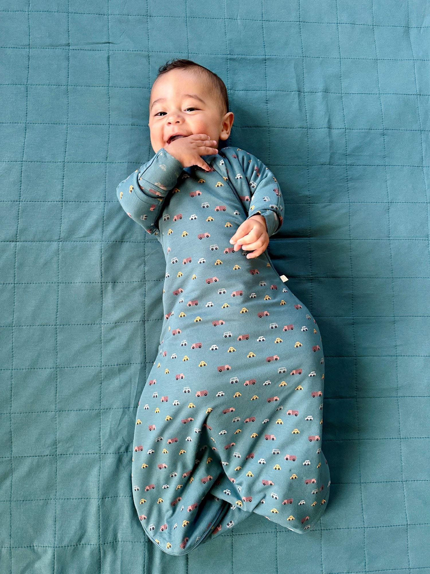 Long Sleeve Transitional Swaddle Sack - Going / 1.0 TOG