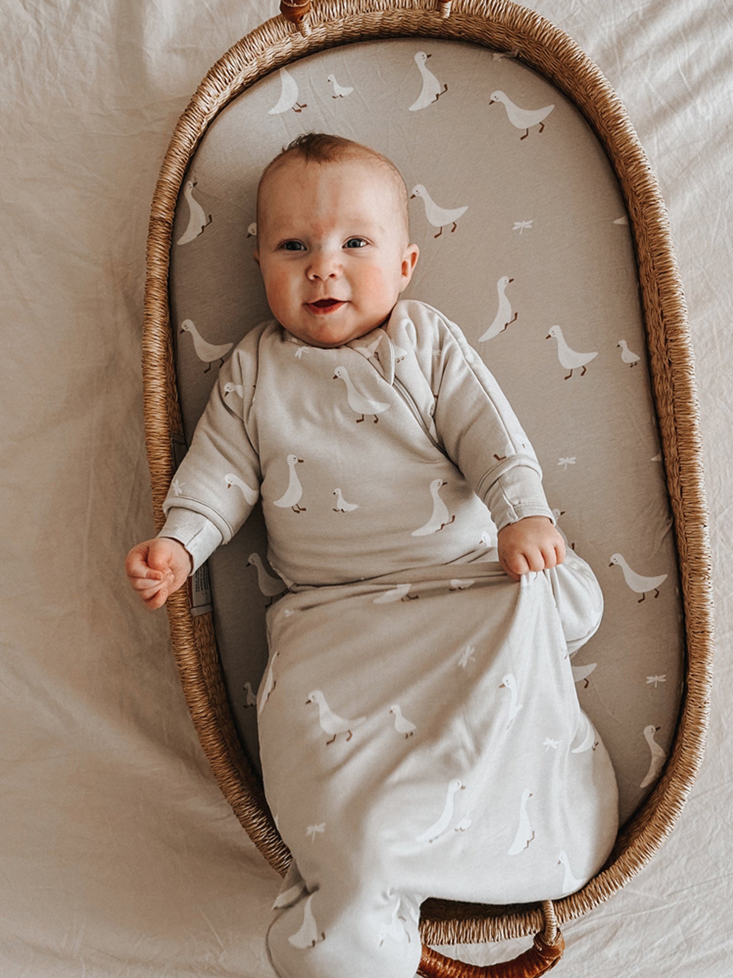 Long Sleeve Transitional Swaddle Sack - Goose