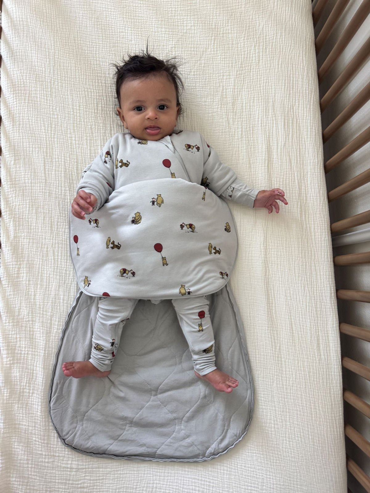 Long Sleeve Transitional Swaddle Sack - Pooh / 1.0 TOG
