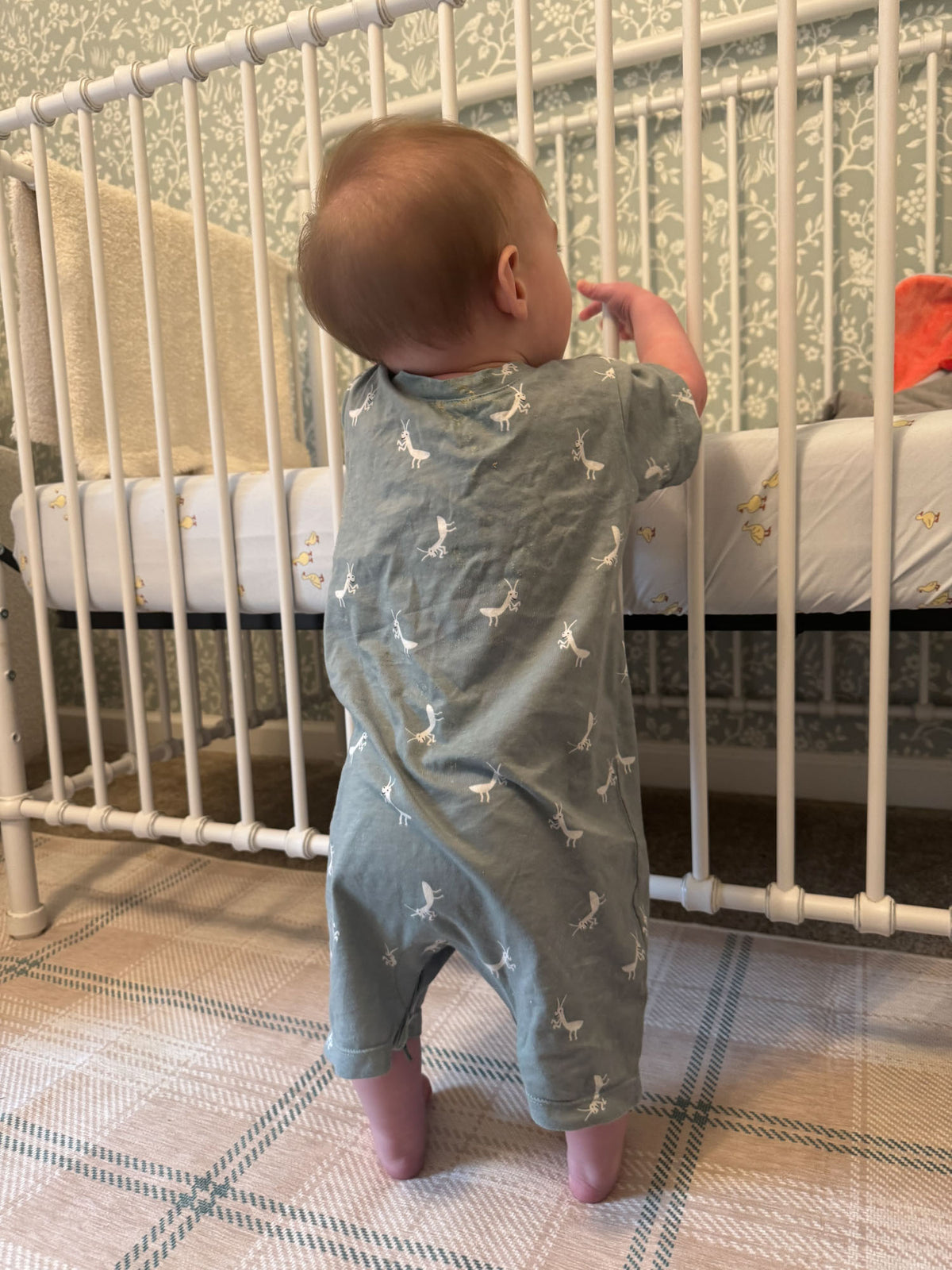 Cotton Shortie Romper - Mantis