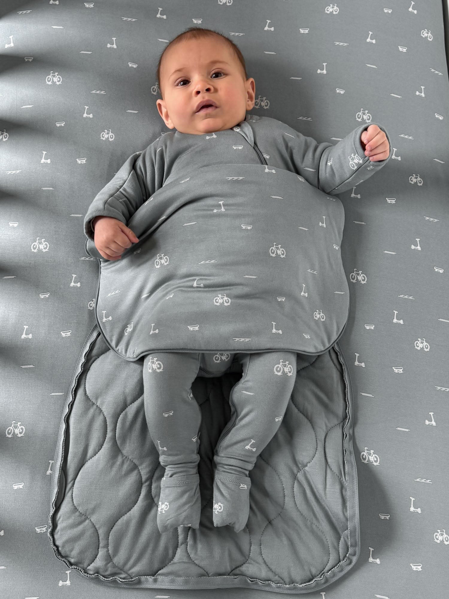 Long Sleeve Transitional Swaddle Sack - Dash / 0.5 TOG