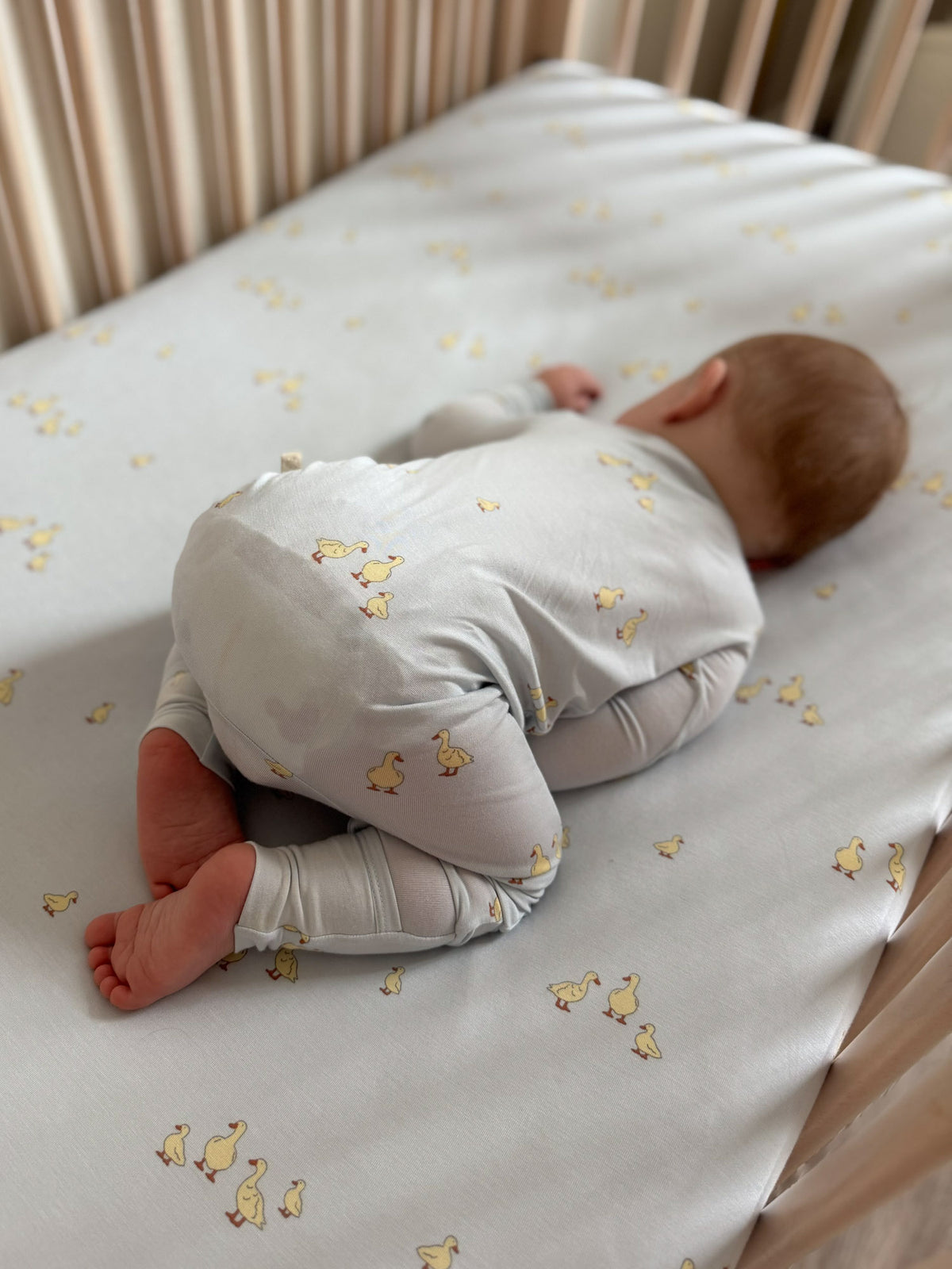 Crib Sheet - Friends