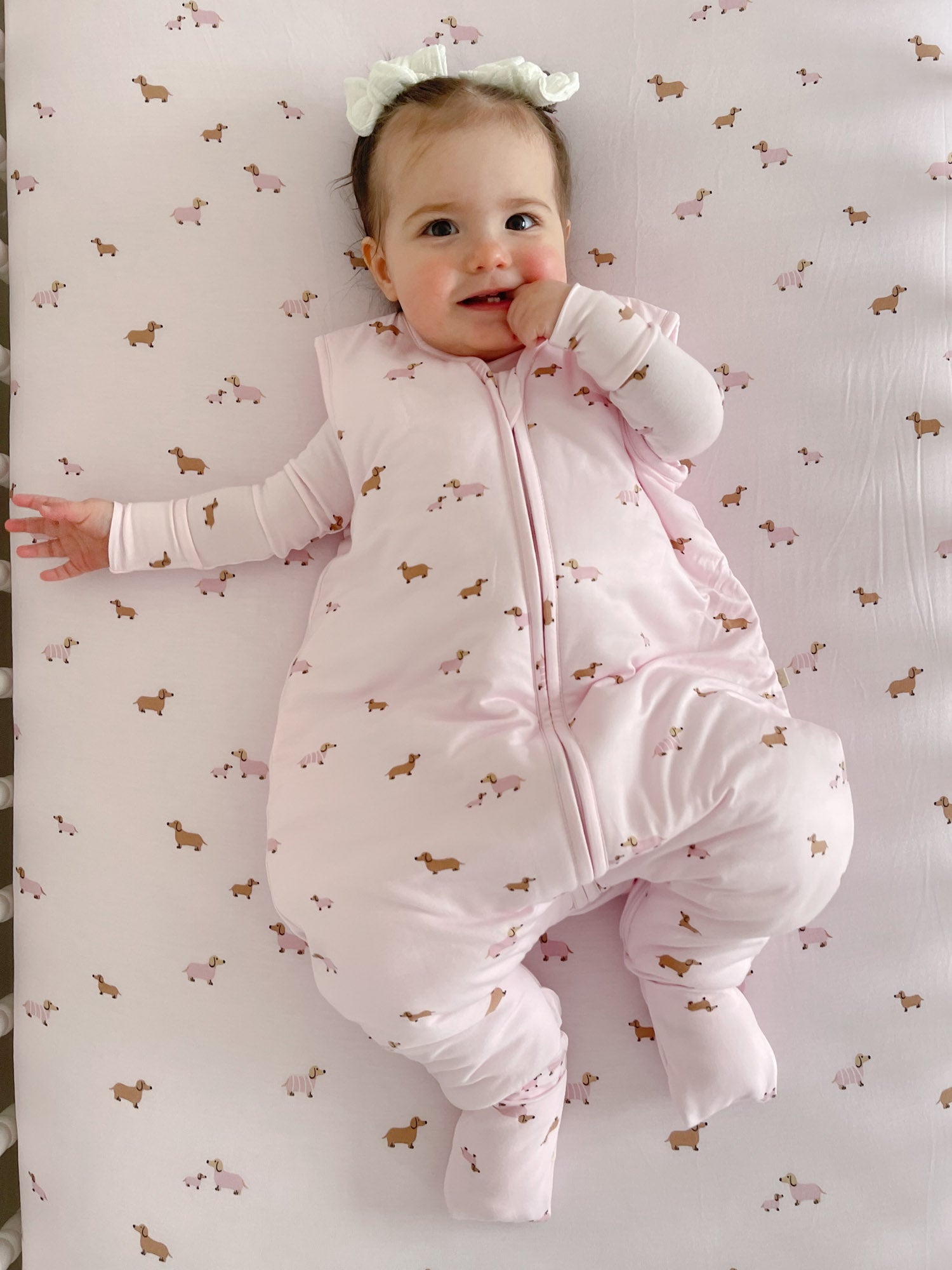 Footie Sleep Sack - Girldog / 1.0 TOG