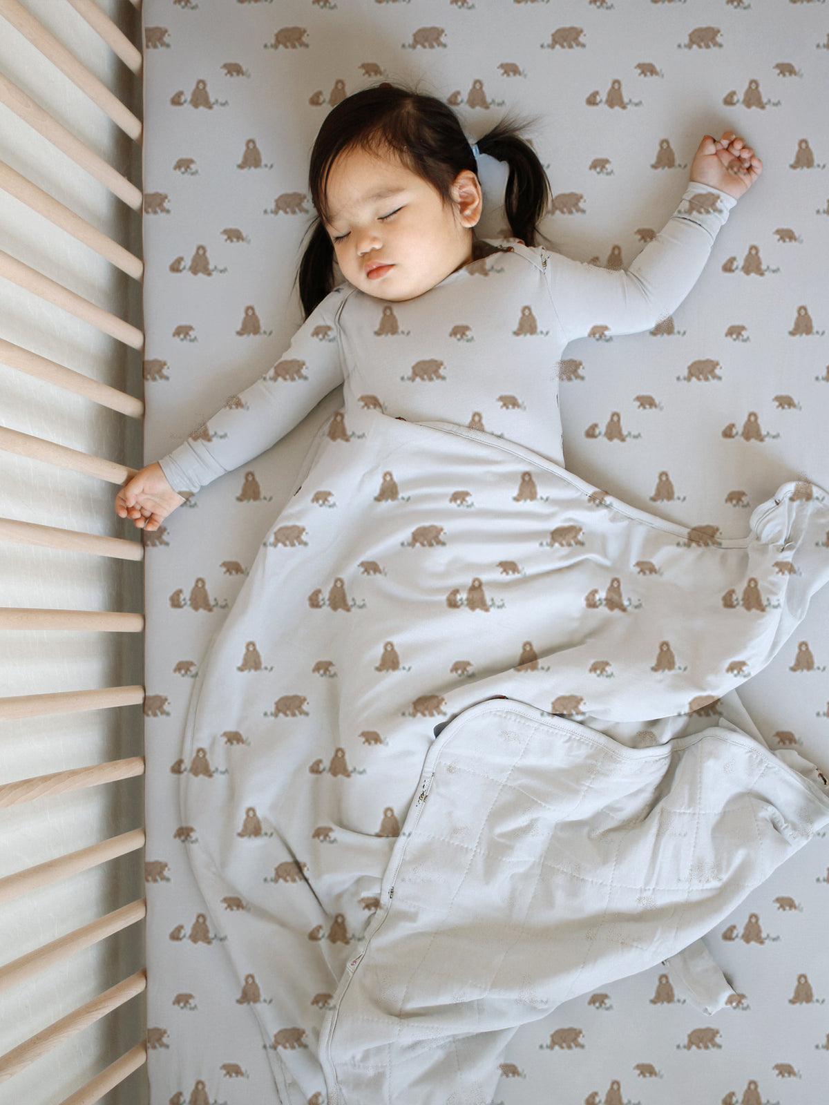 Cloud Blanket - Teddies / 2.5 TOG