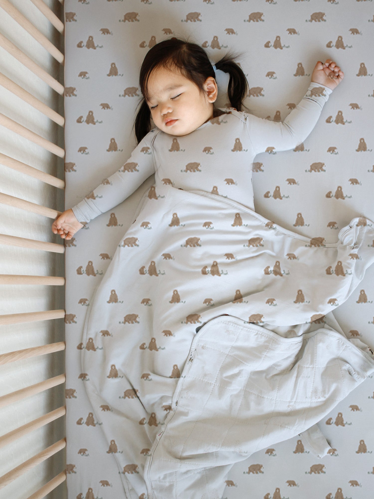 Cloud Blanket - Teddies / 2.5 TOG