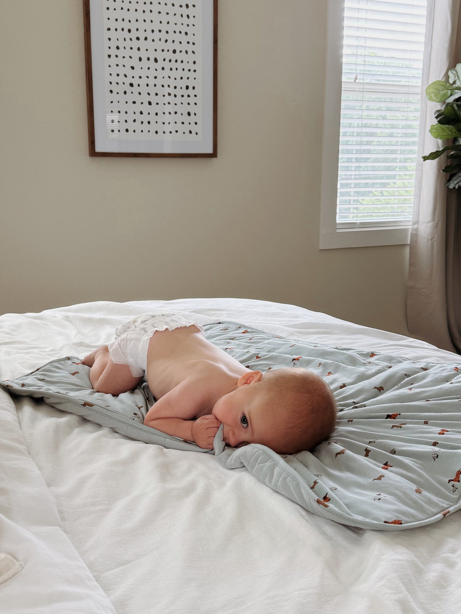 Woof Sage 1.0 TOG Bamboo Baby Cloud Blanket | Cloud Comforter