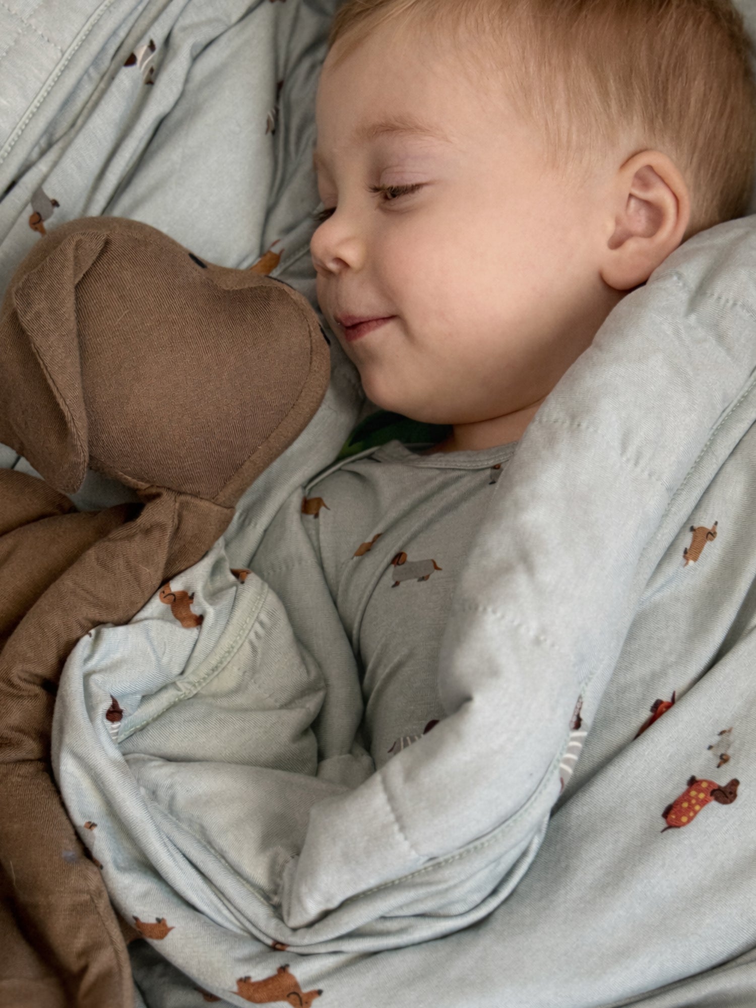 Twin Cloud Blanket - Woof / 1.0 TOG