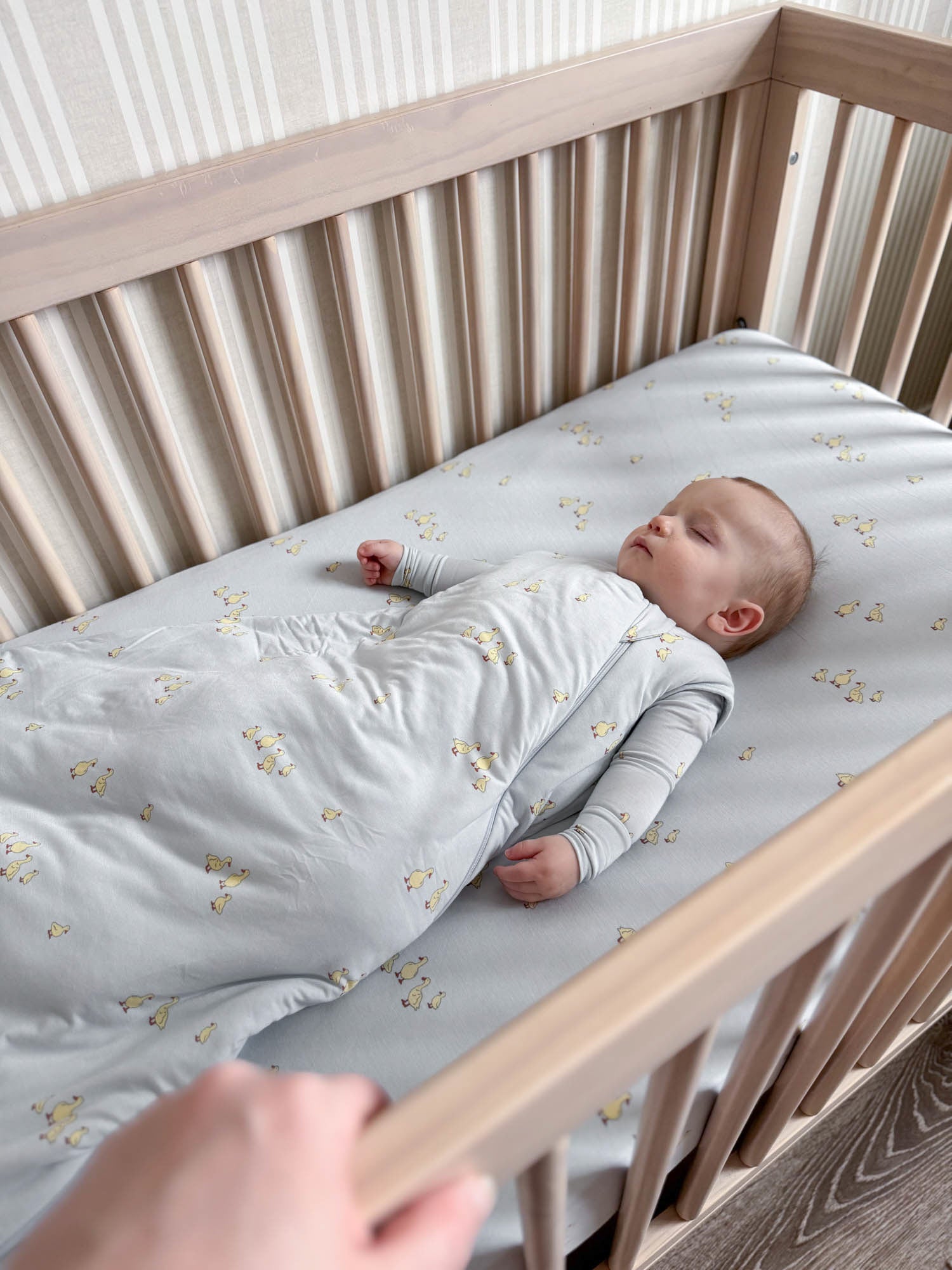 Sleep Sack - Friends / 0.5 TOG