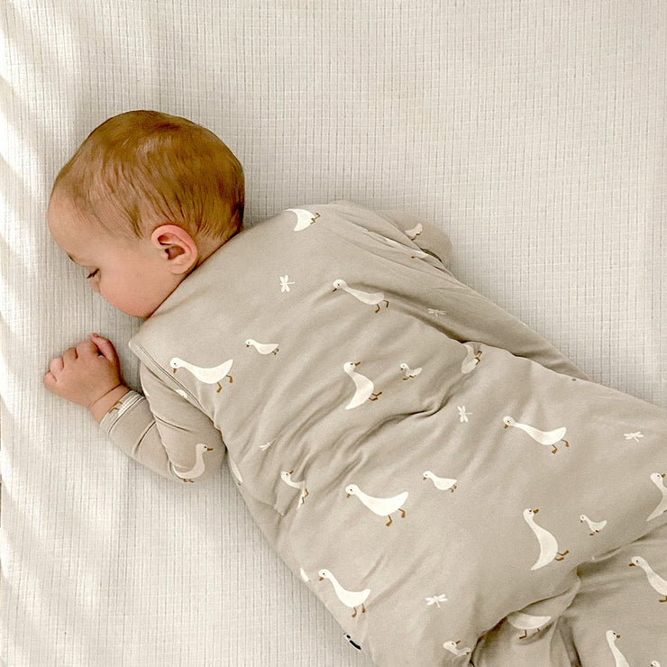 baby boy asleep in a goose printed beige neutral sleep bag